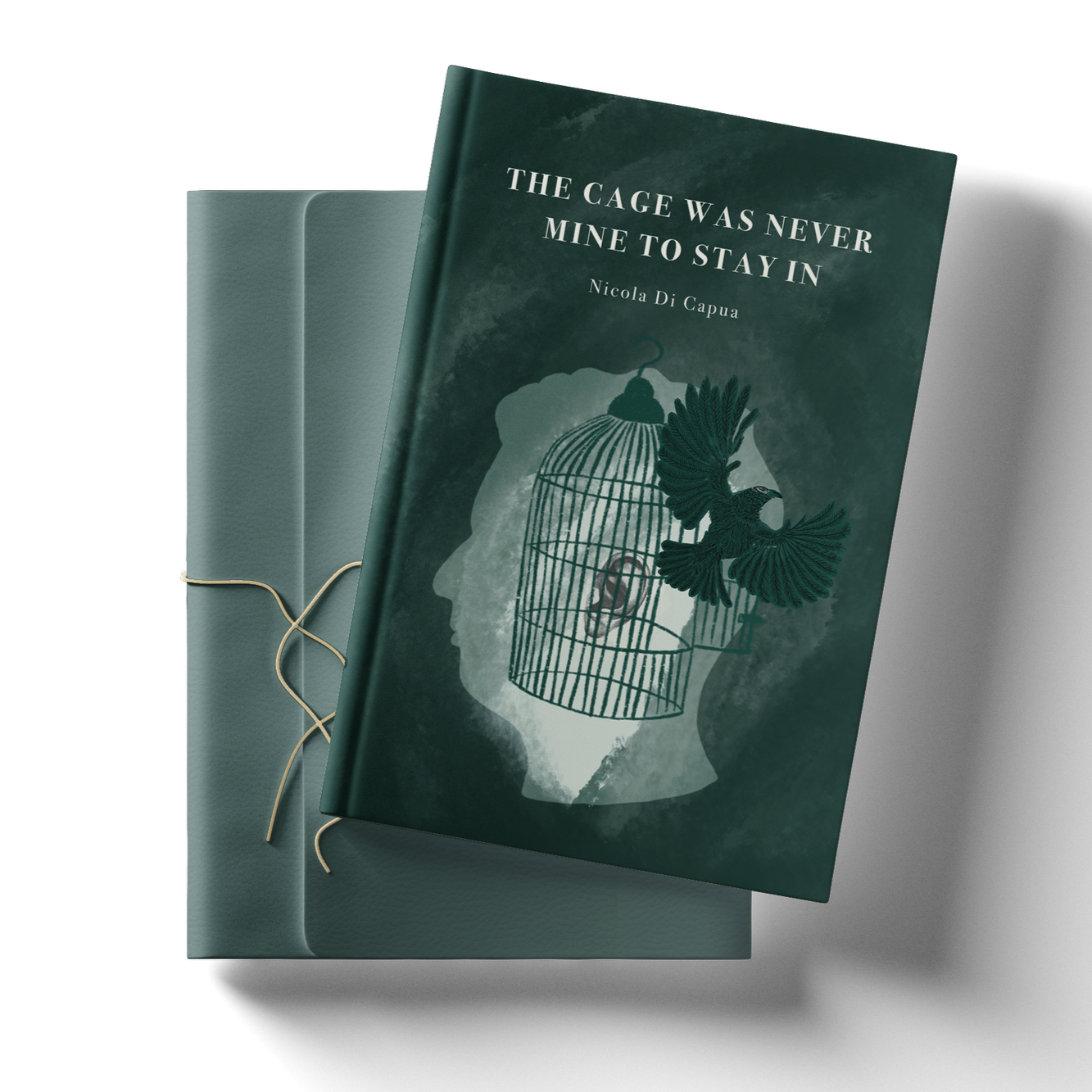 Learn More About My Book and the Deaf Journeys Behind It