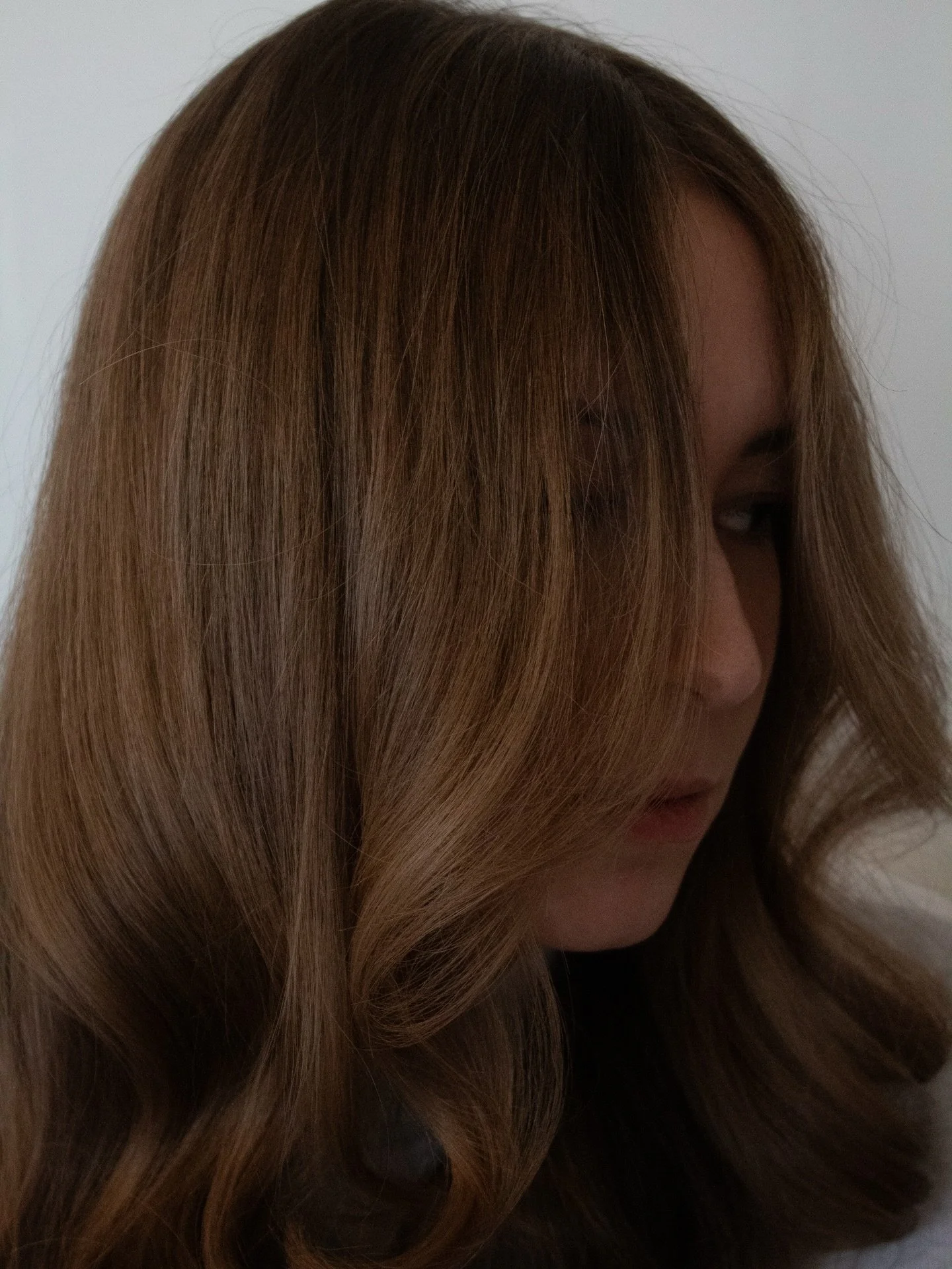 THE EXPENSIVE BRUNETTE |  A rich, glossy brown with dimension and intense depth that looks and feels luxurious

This look is all about using subtle highlights and a blend of tones to create depth and movement instead of applying a solid, flat color. 