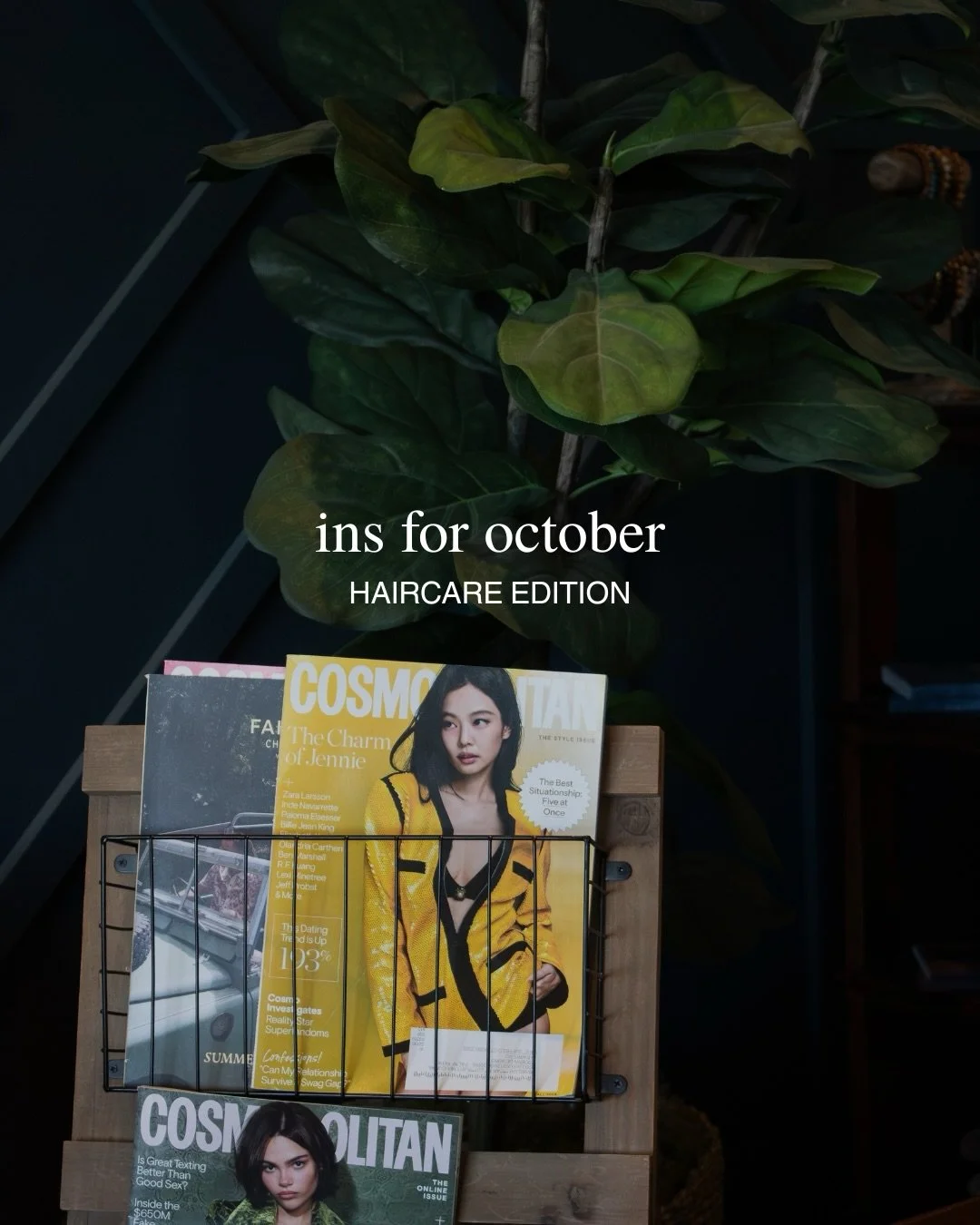 our haircare INS for October

With the fall weather incoming, here are our 3 recommendations to maintain your hair health:

[ 01 ] L&rsquo;ANZA Scalp Therapy Balancing Leave-On Serum to rebalance, calm, &amp; protect your scalp 

[ 02 ] Book our Ulti