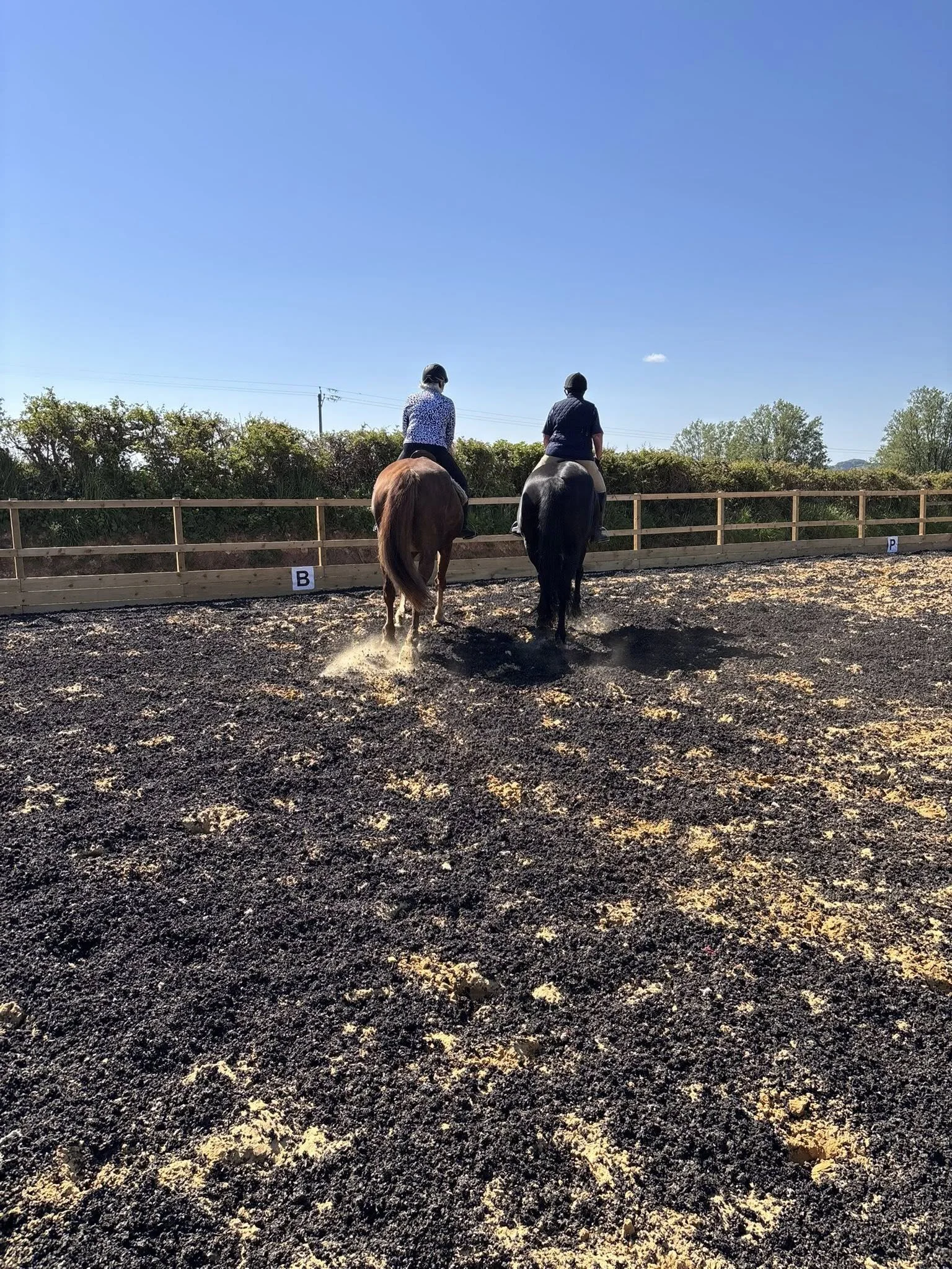 Two riders on horseback ride in an outdoor enclosed riding arena with a wood fence, under a clear blue sky.