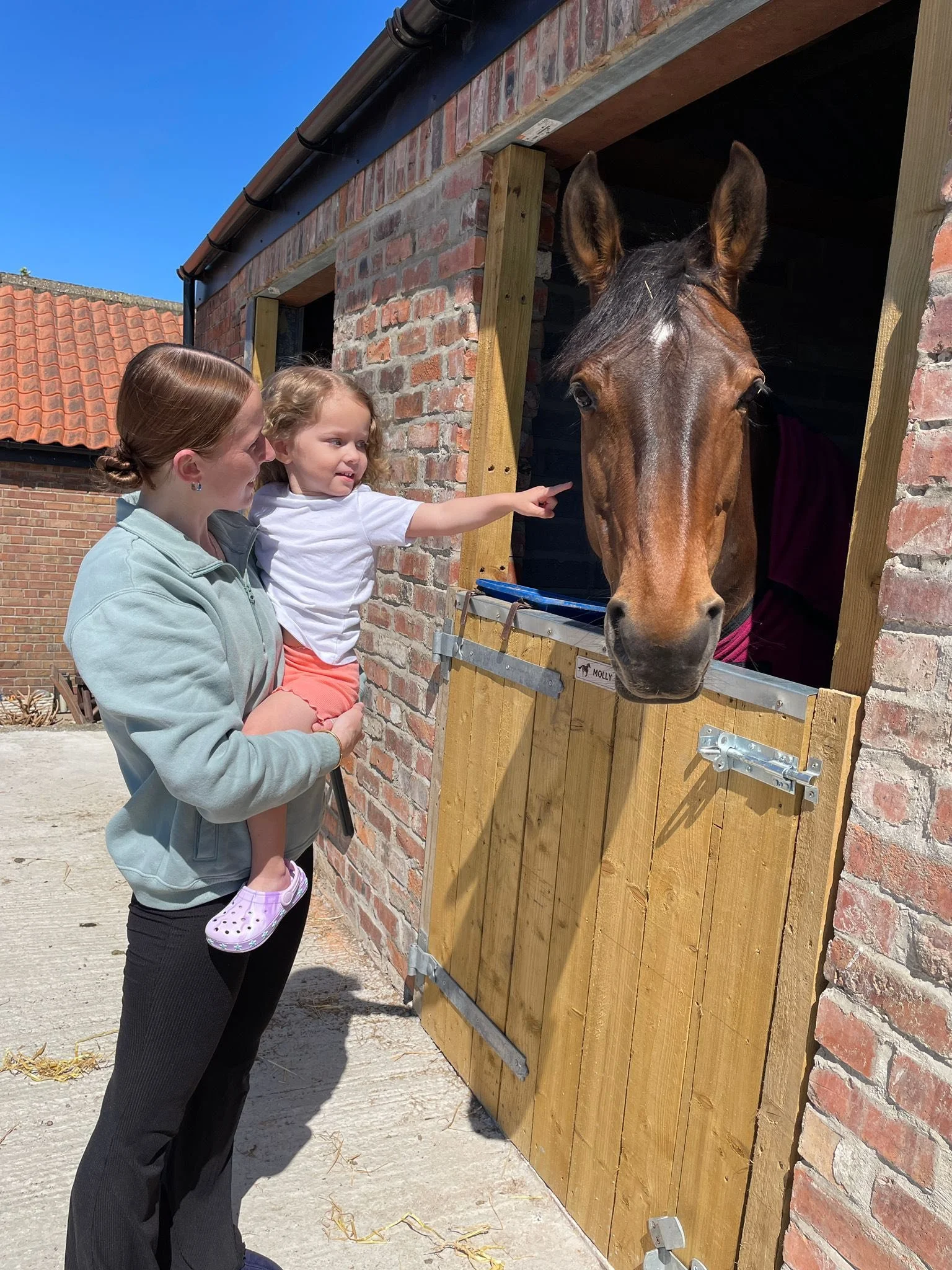 A woman holding a young girl as they interact with a horse through a stable window on a sunny day.