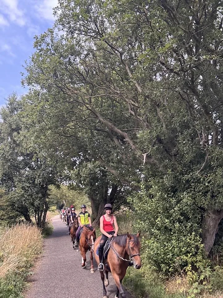 Group of people horseback riding along a path under large leafy trees.