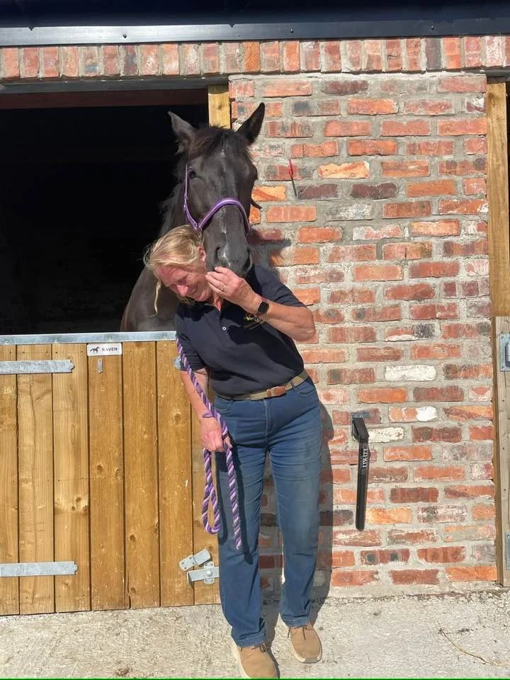 A woman in a navy polo shirt and jeans standing outside a brick horse stable, smiling and laughing while holding a purple lead rope. A black horse with a purple halter is leaning its head out from the stable doorway, close to her face.