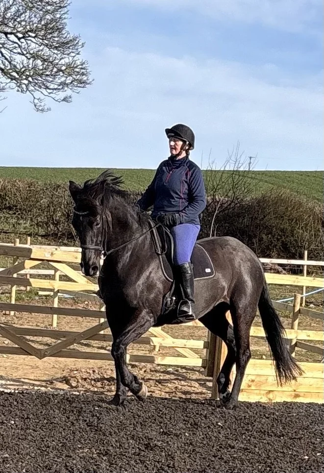 A woman riding a black horse in an outdoor riding arena, with a wooden fence and green fields in the background.