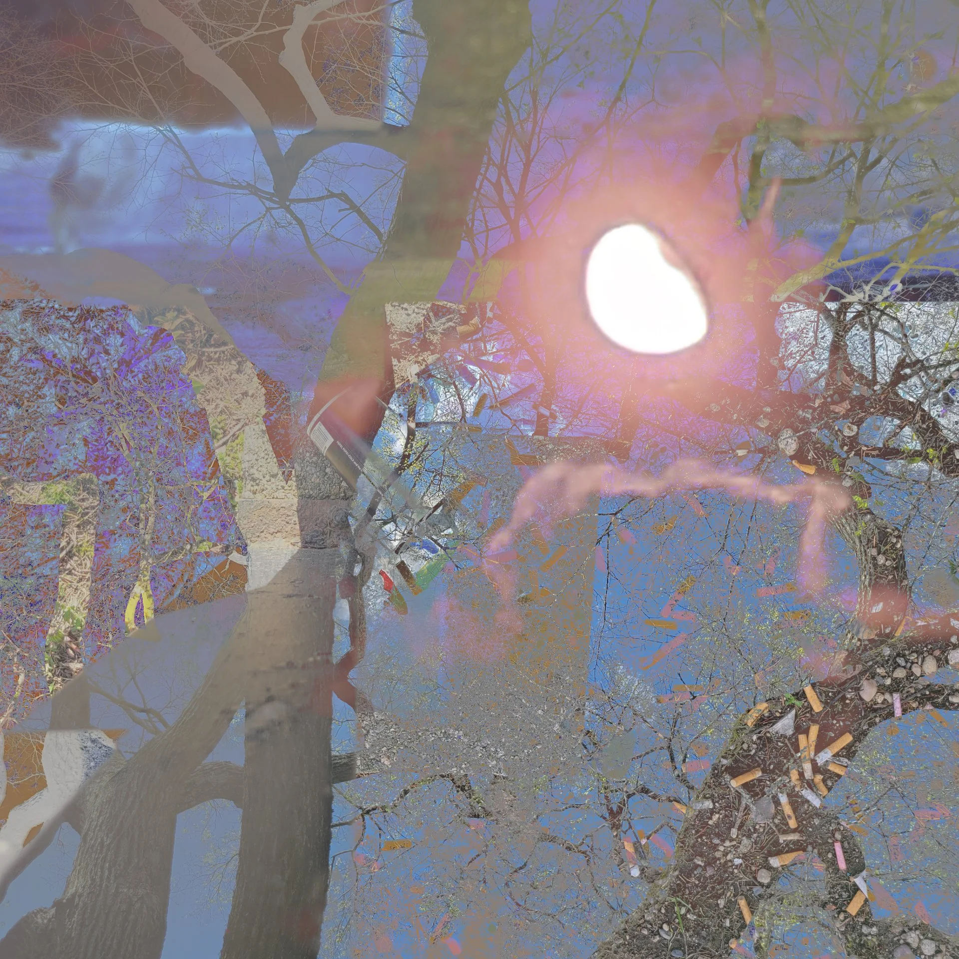 Julia’s Light