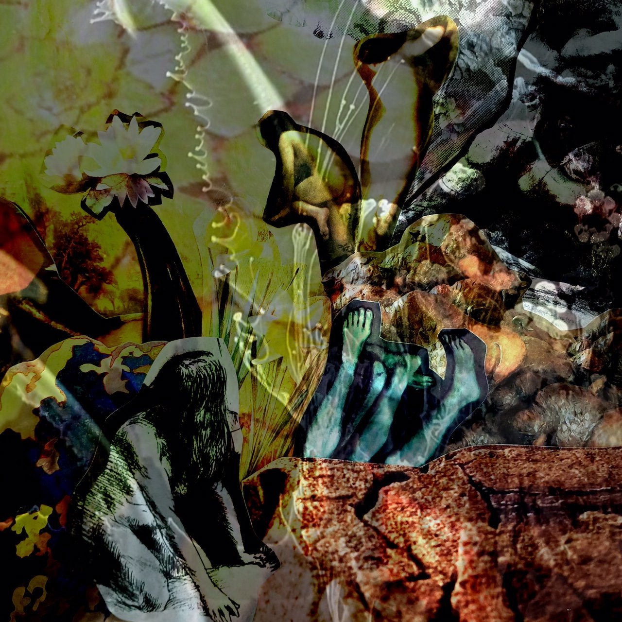 Emergence