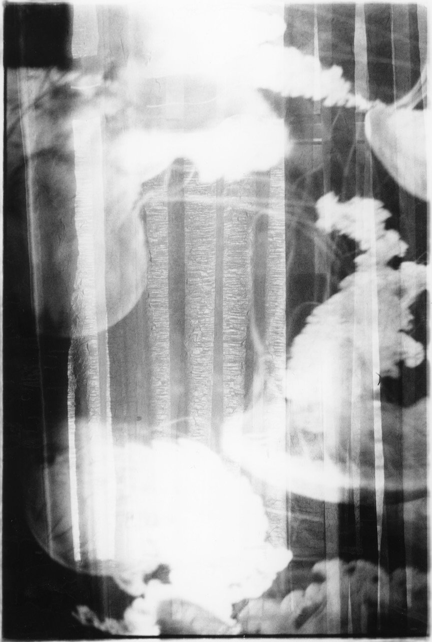 Jellyfish Double Exposure