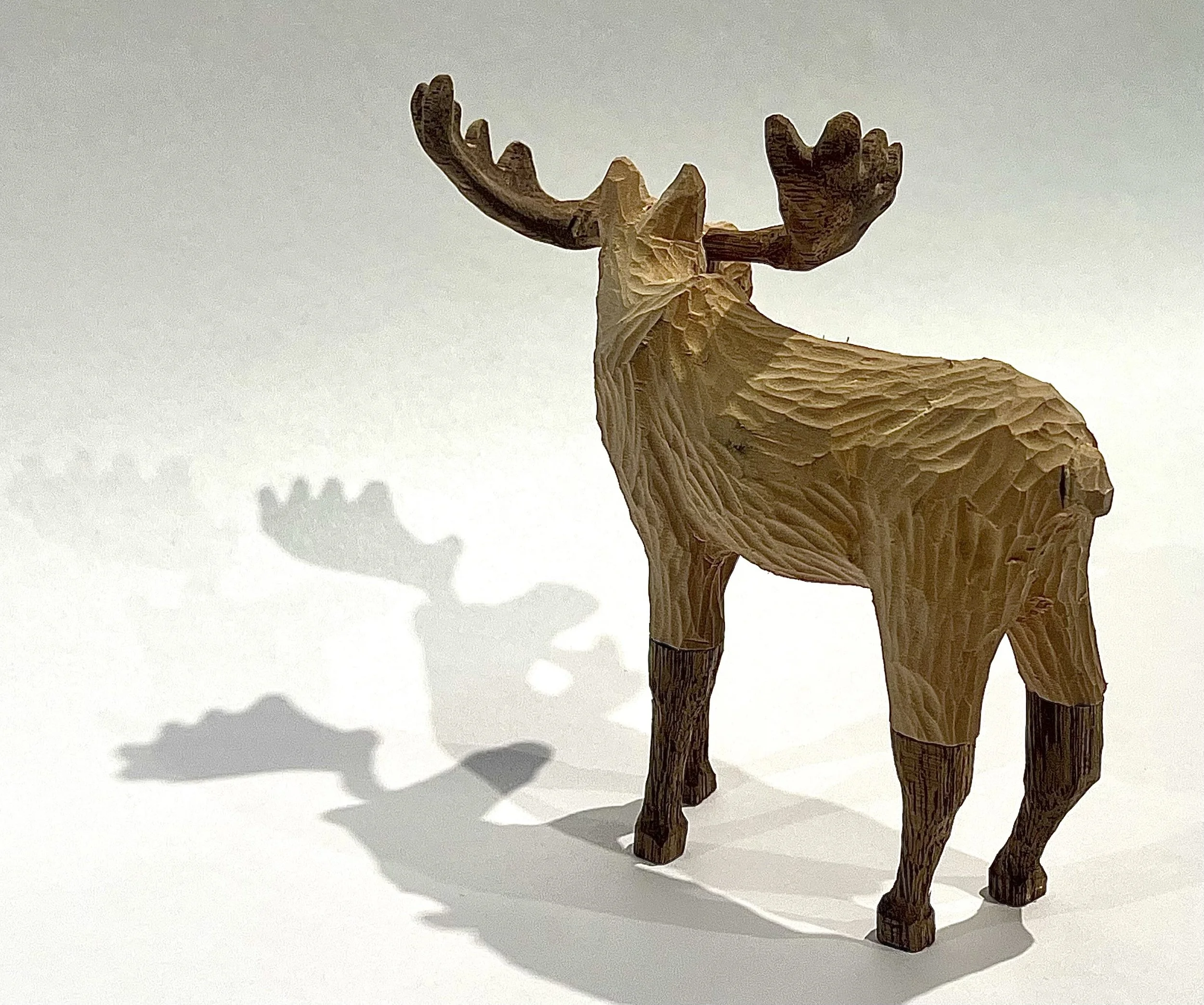 Moose - 1