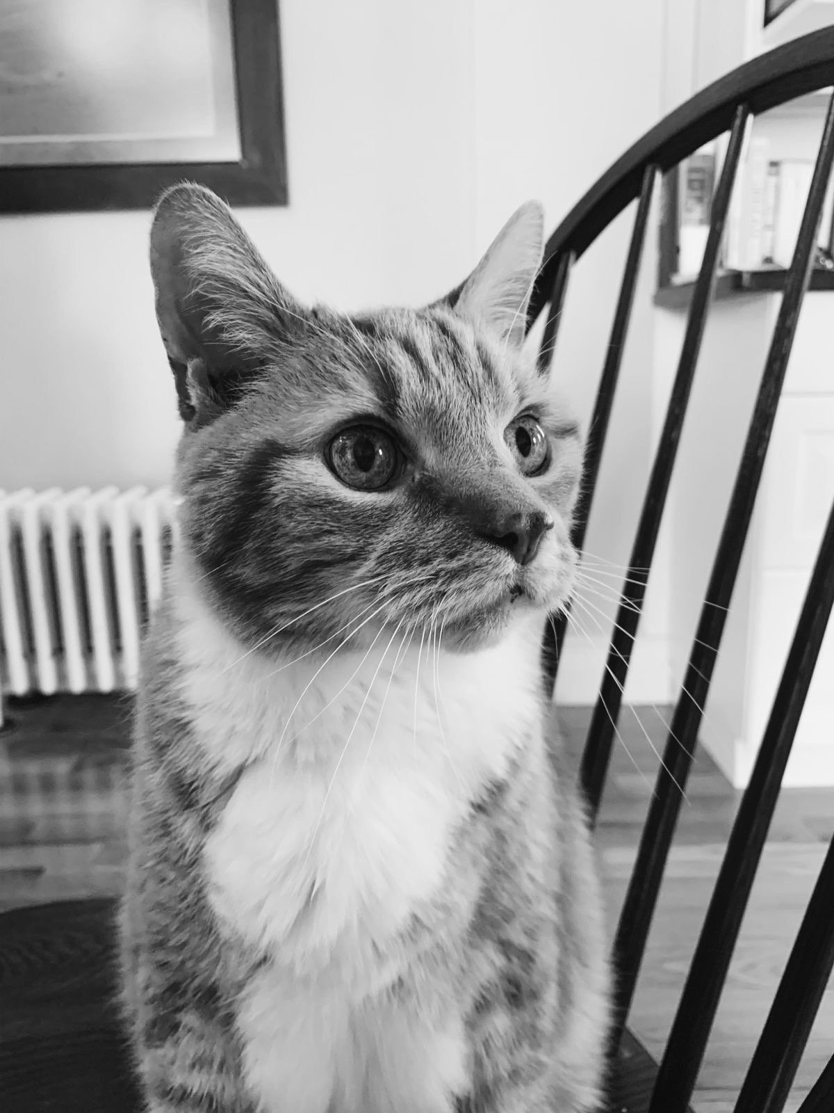 My Angel