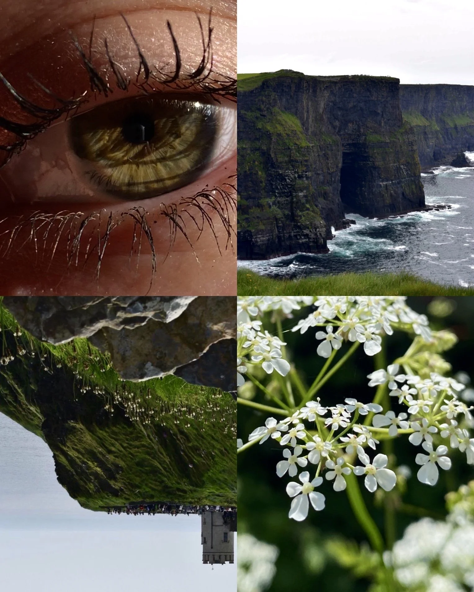 Ireland in Green