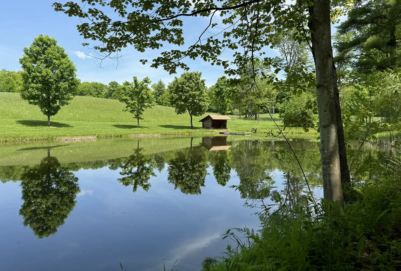 Watershed at Reservoir Woods