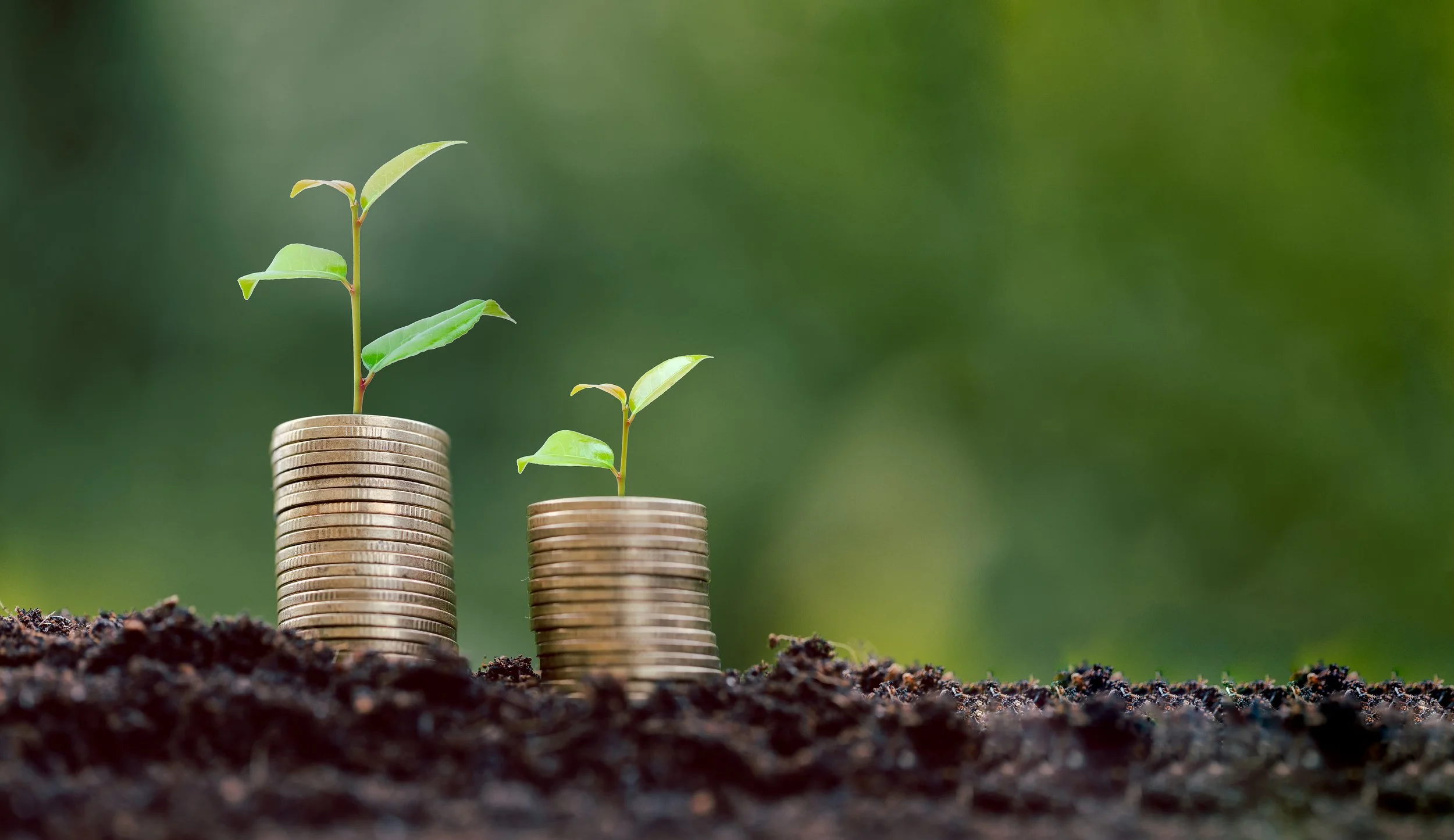 7 Ways to Grow your Business