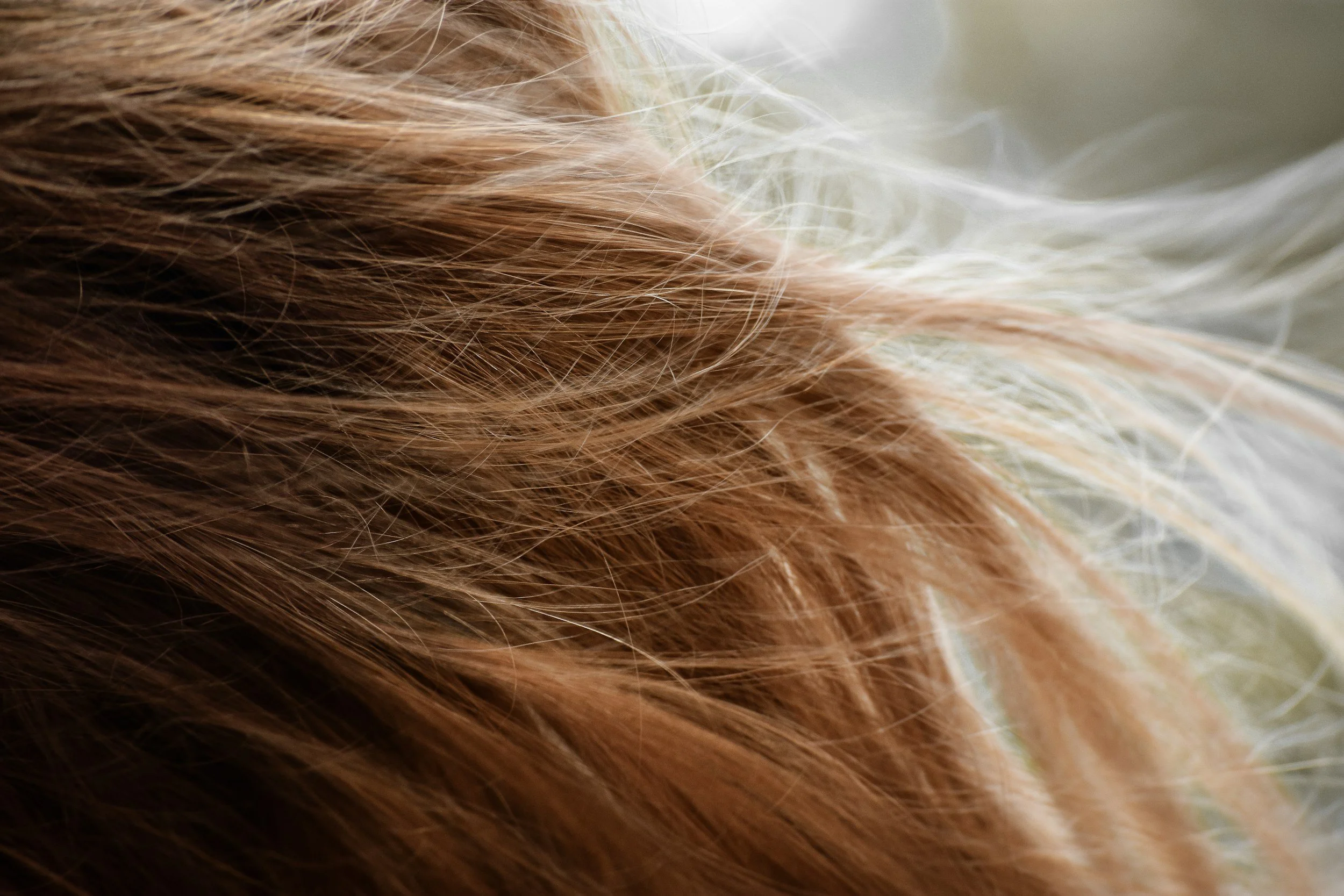 K-Tip hair extensions applied at Soar & Strand, North Liberty, IA, creating long, voluminous, and healthy hair