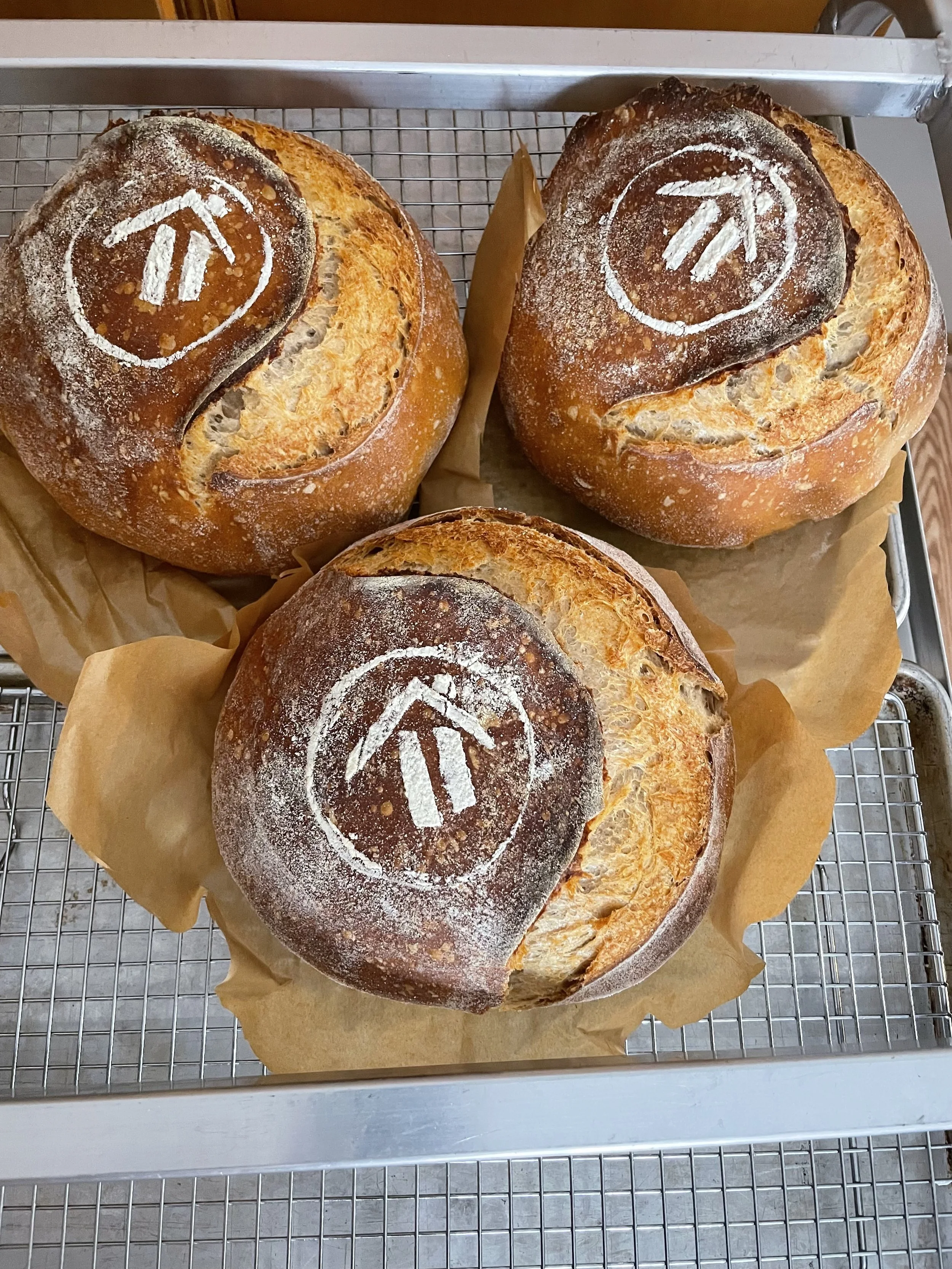 Sourdough