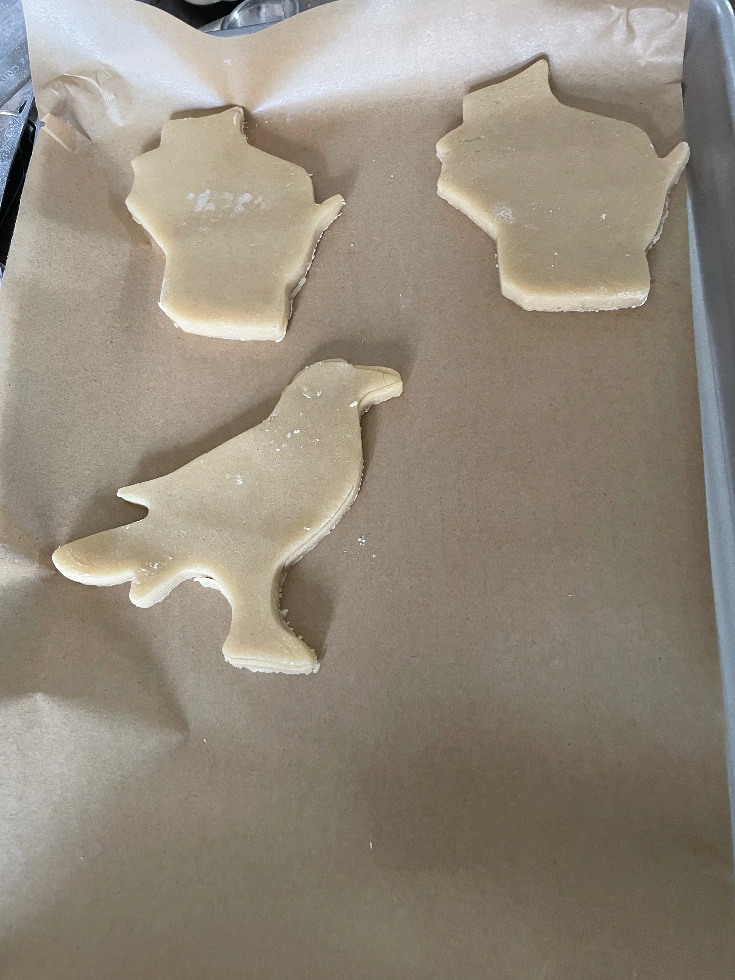 Badger Gopher Sugar Cookies Plus A Free Bird!