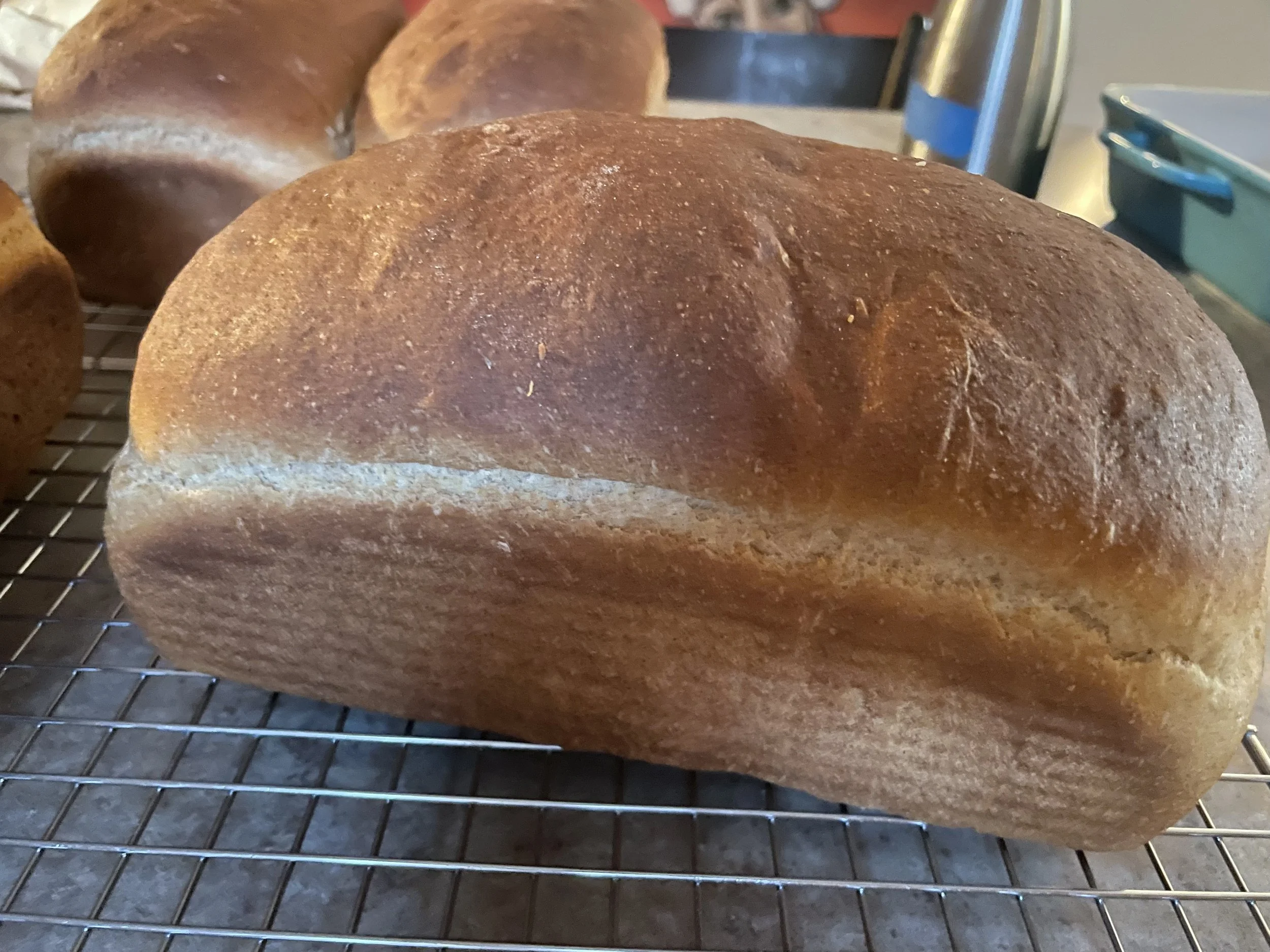 Honey Wheat Loaf
