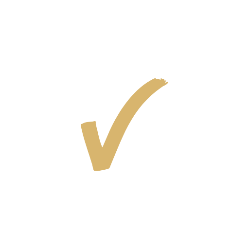 Icono de verificación