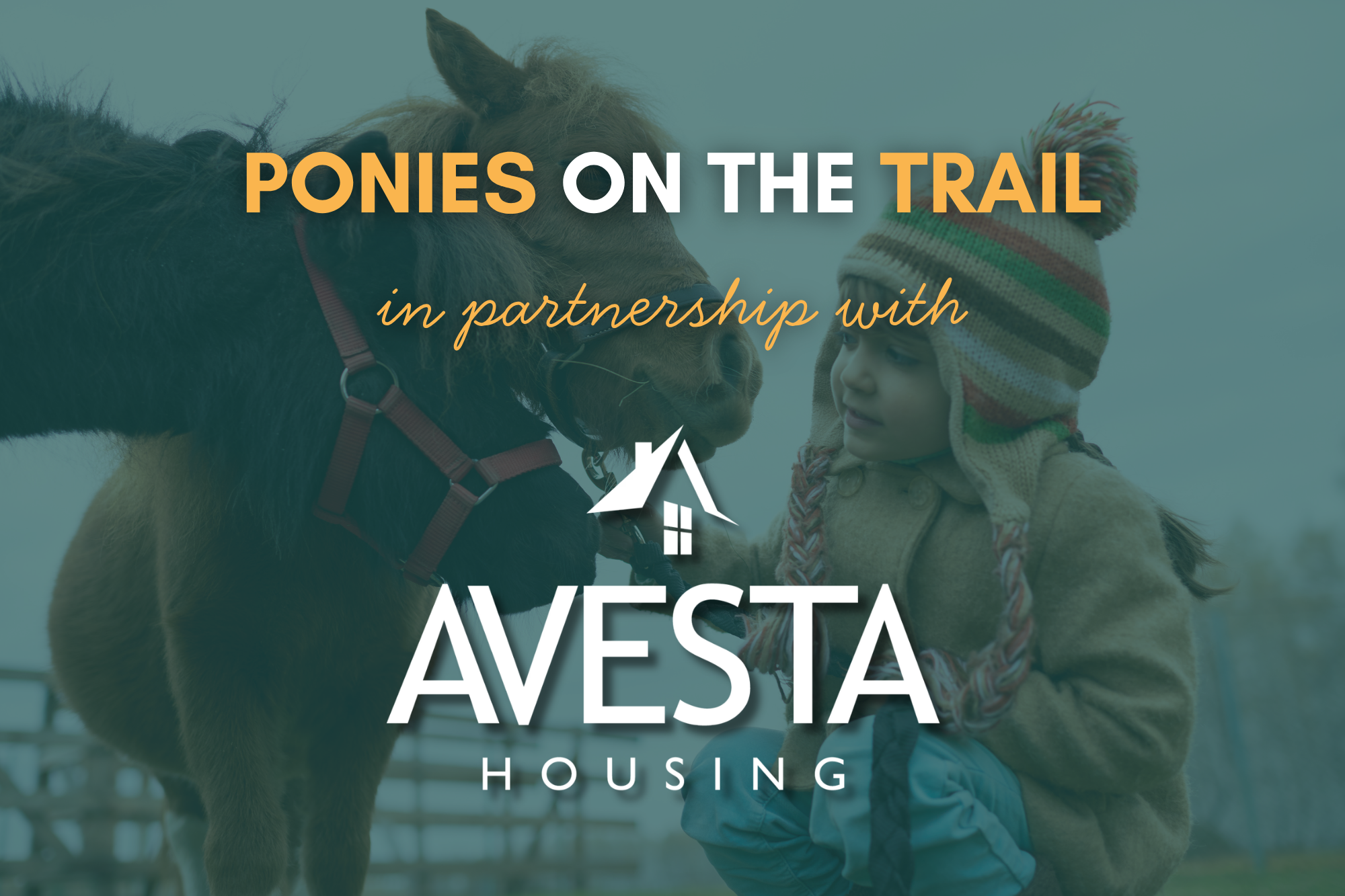 Ponies on the Trail