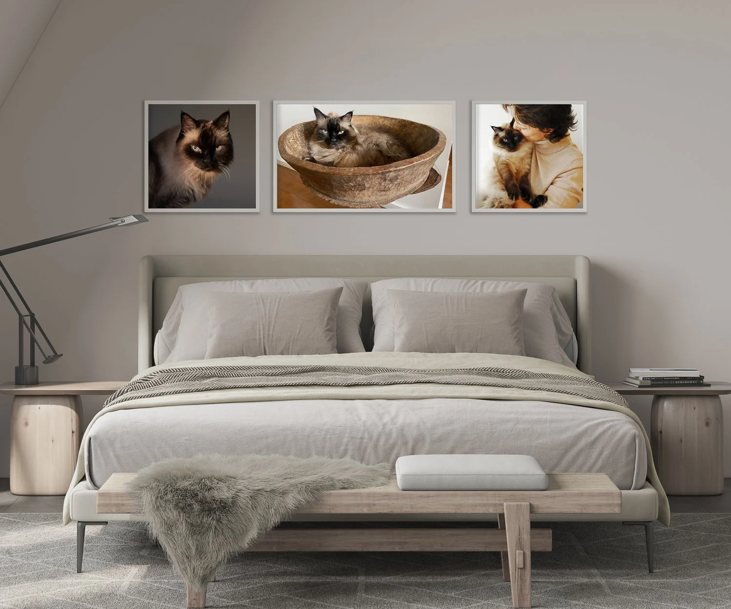 Beautiful framed cat photos over comfortable looking bed