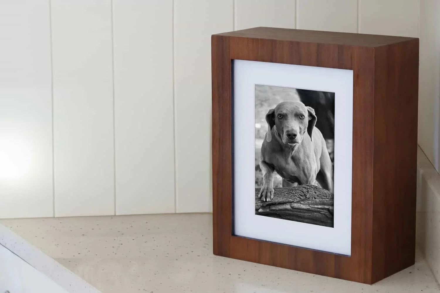 Folio box with Weimeranar dog photo inside