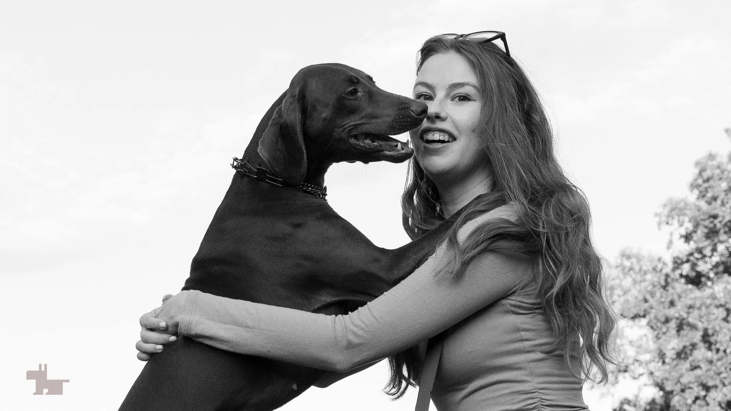 4_Vizsla-Weimaraner-mix-Brooklyn-playful.jpg