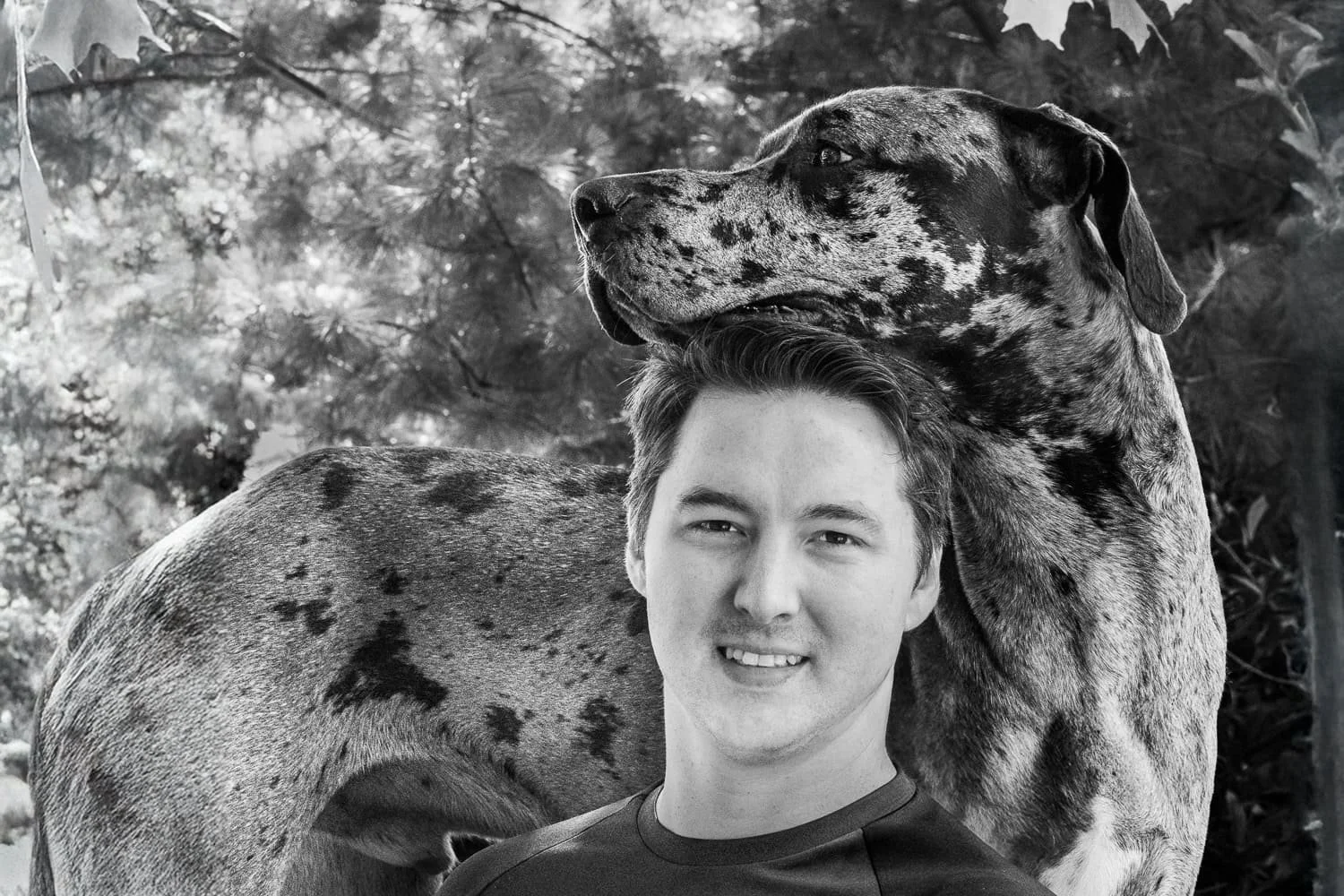 Young man with his great dane resting it's head on his head