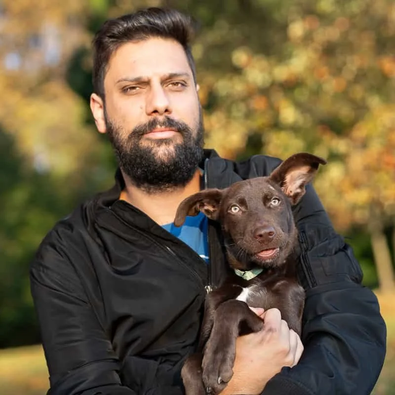 Mixed breed puppy with his owner in fall