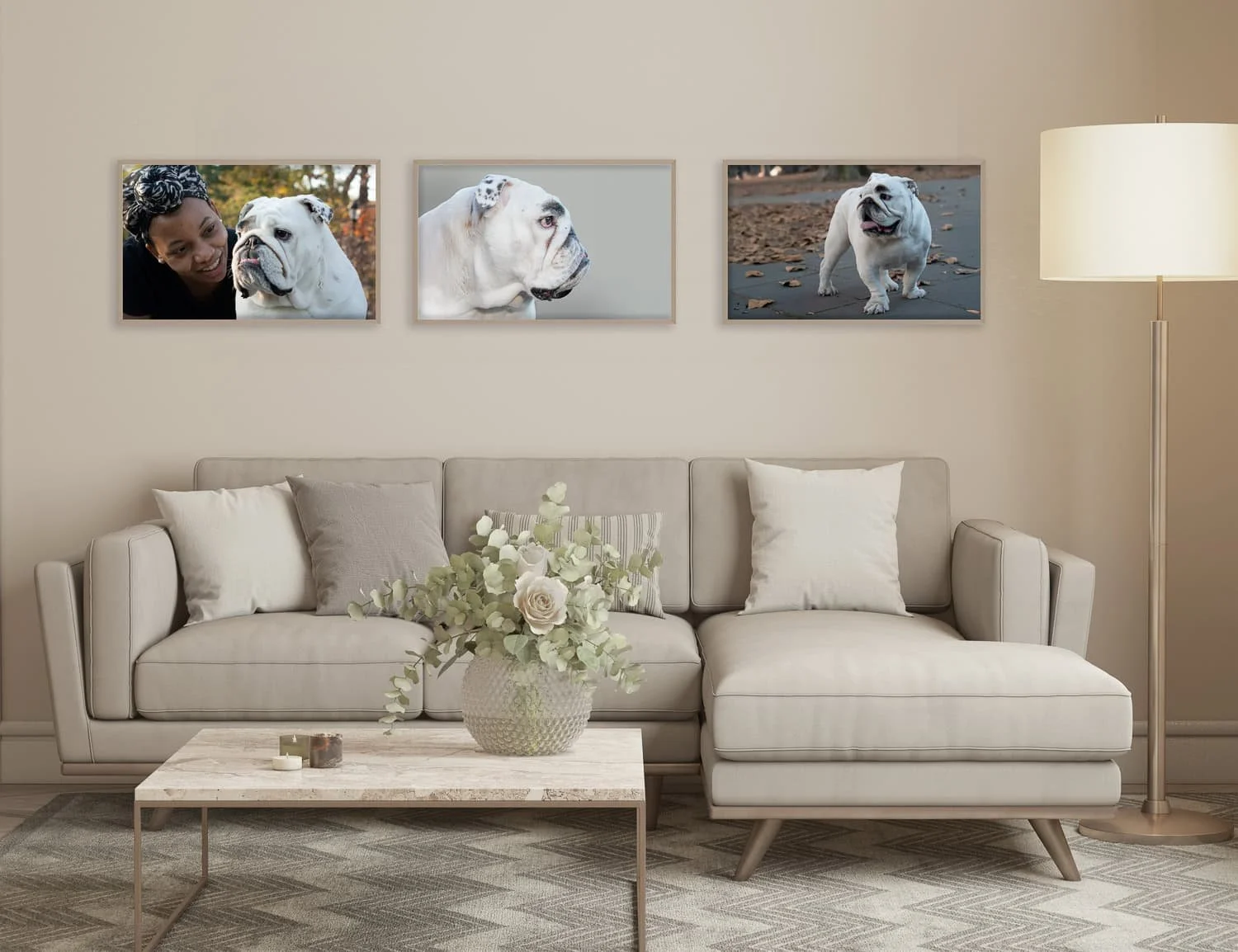 Dog photographs on wall in brooklyn house