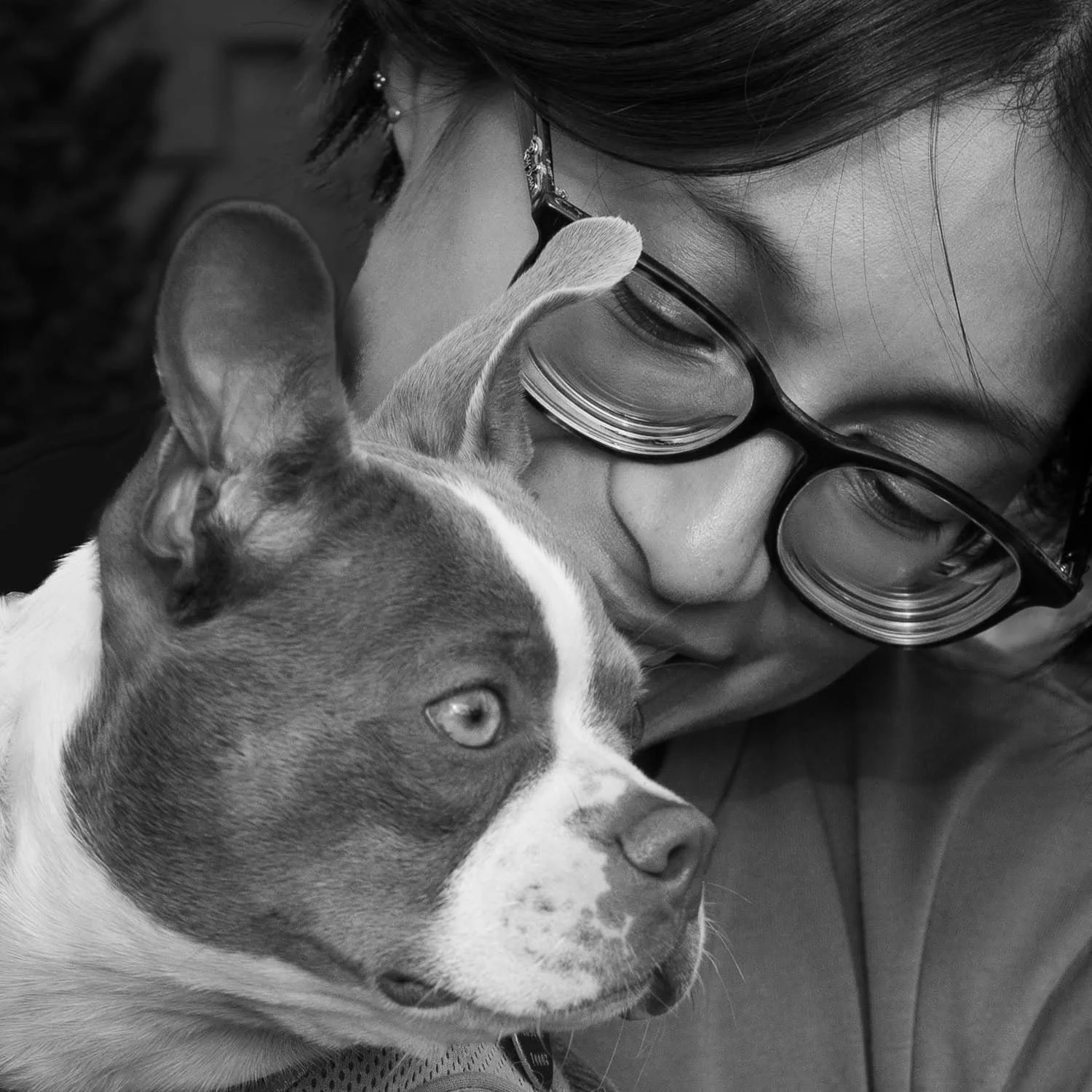 Lady smiling looking at her Boston Terrier Dog