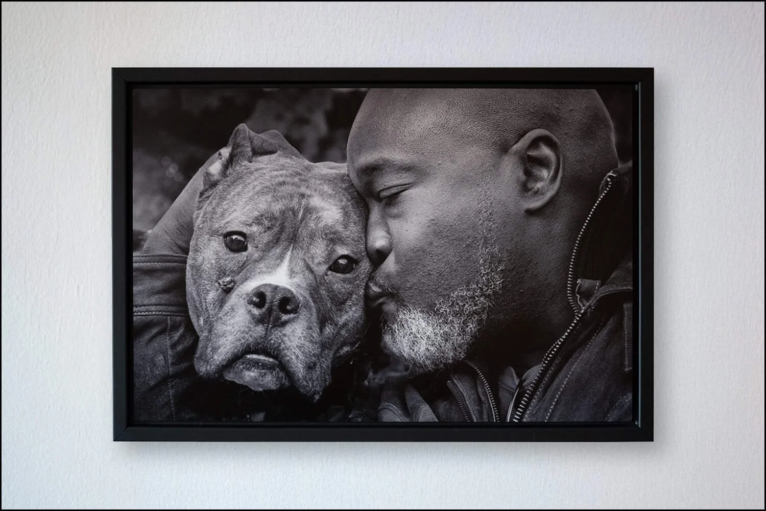 Pit bull mix and owner nuzzling framed on wall