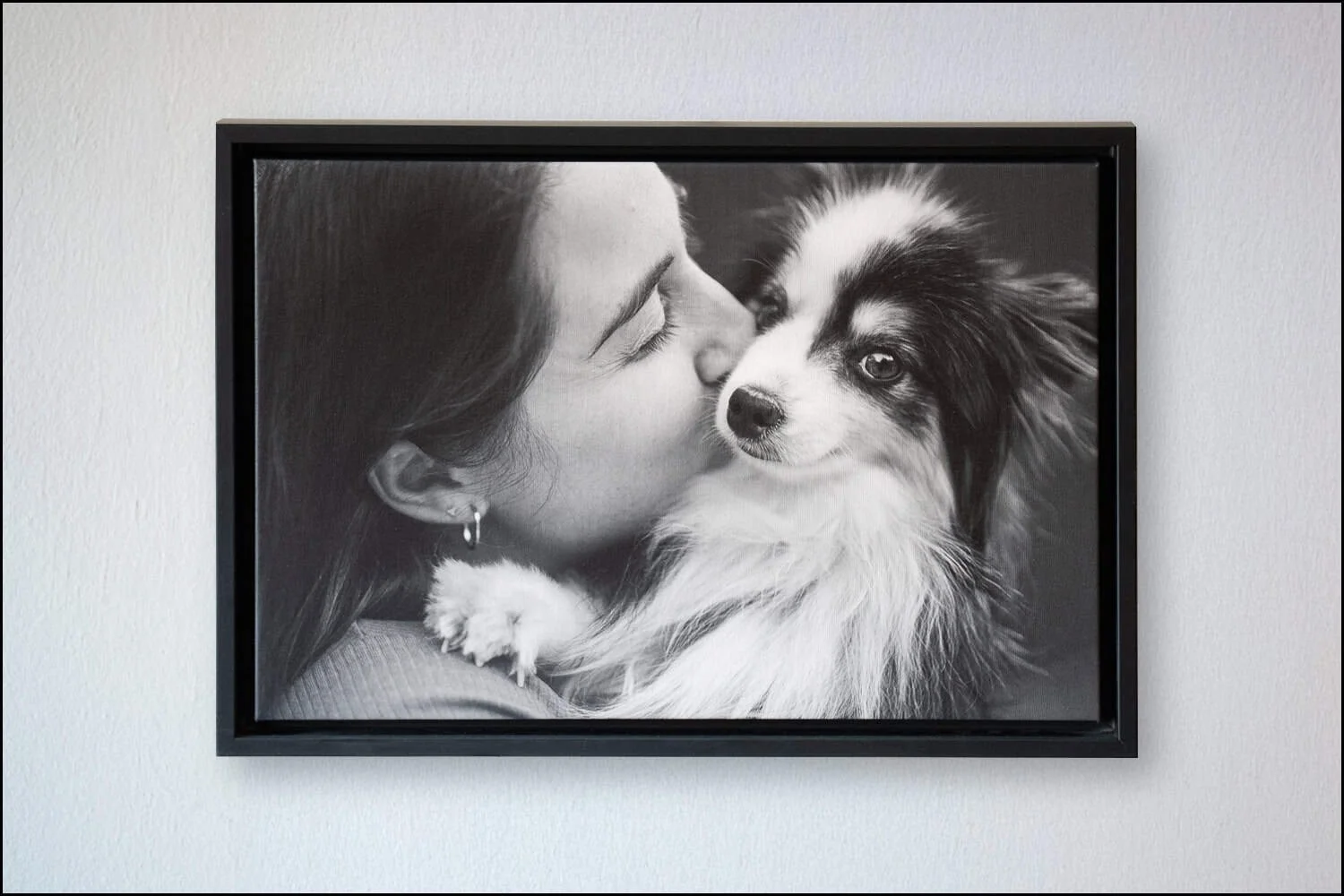 Lady kissing her aussie shephard photo framed on wall