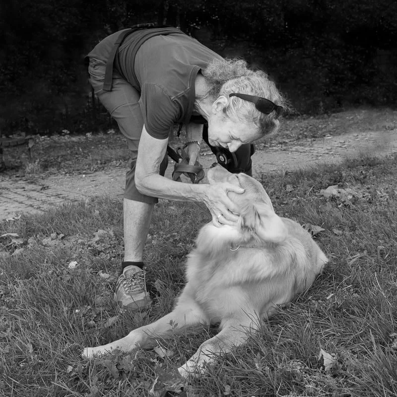 Golden Retriever looking up at owner in Brooklyn park