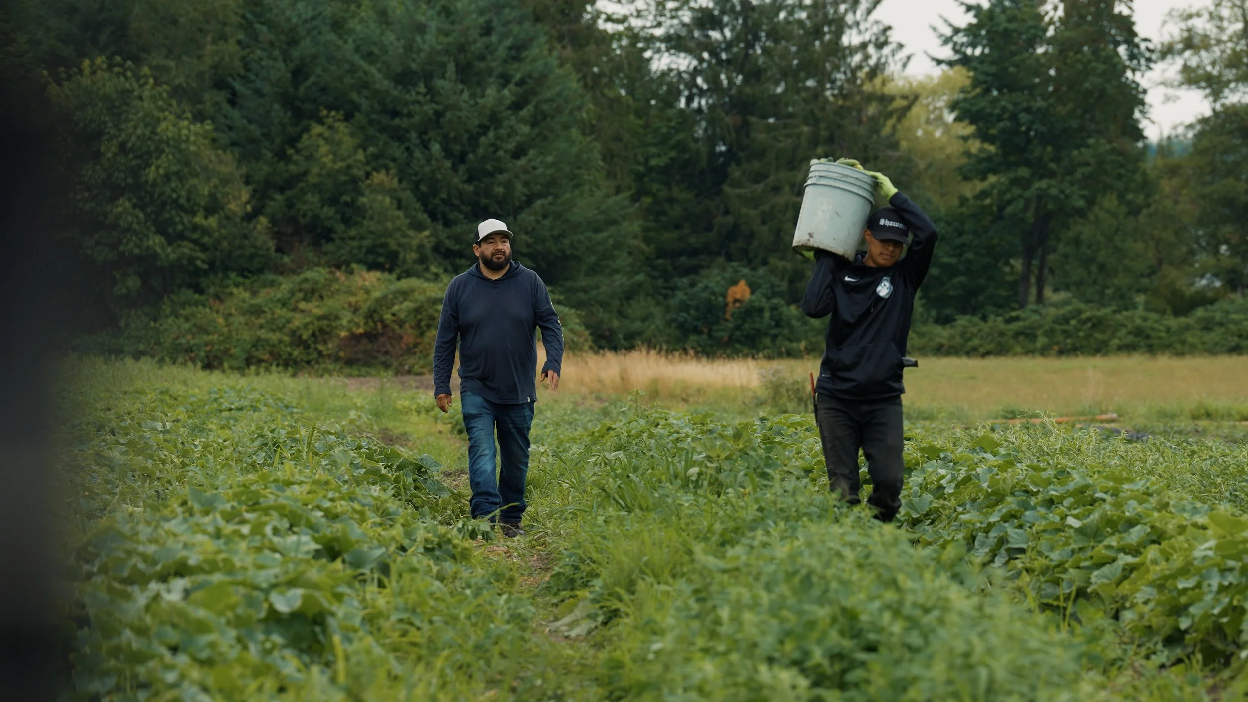 SEATTLE NEIGHBORHOOD FARMERS MARKETS