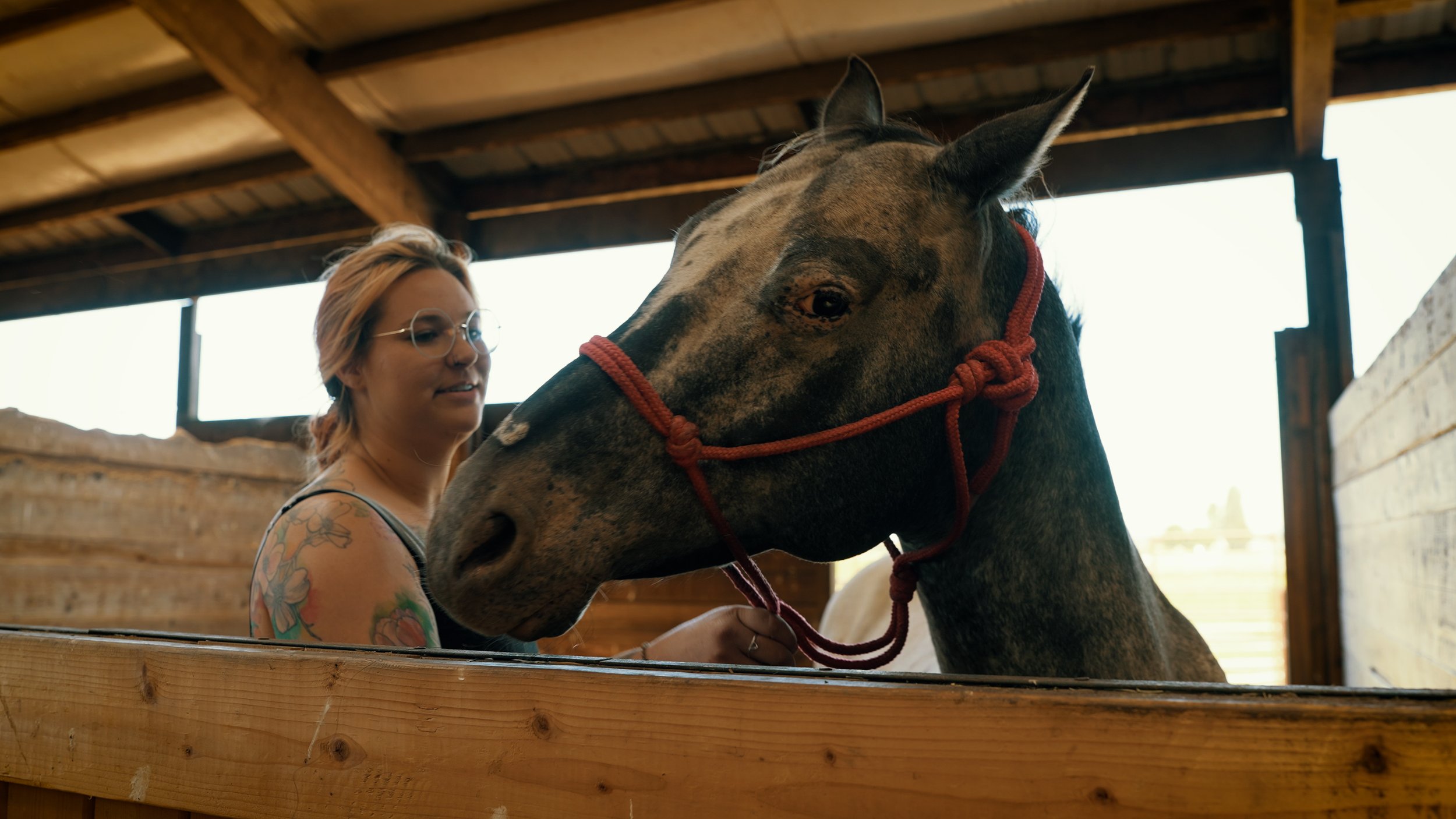 SKAGIT ANIMALS IN NEED