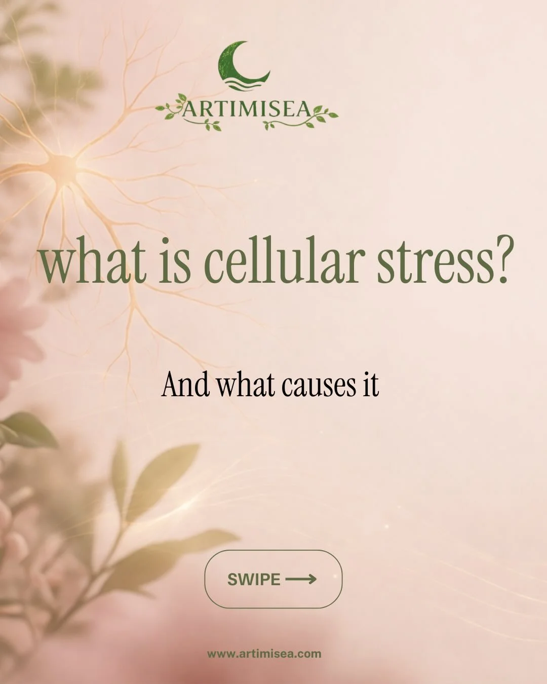 Everything in nature is a fractal, the health of your cells is the health of your body. Although extremely small they mustn&rsquo;t be overlooked 🧬💕
