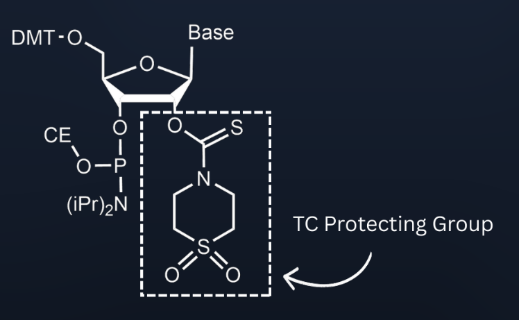 RNA Synthesis Technology