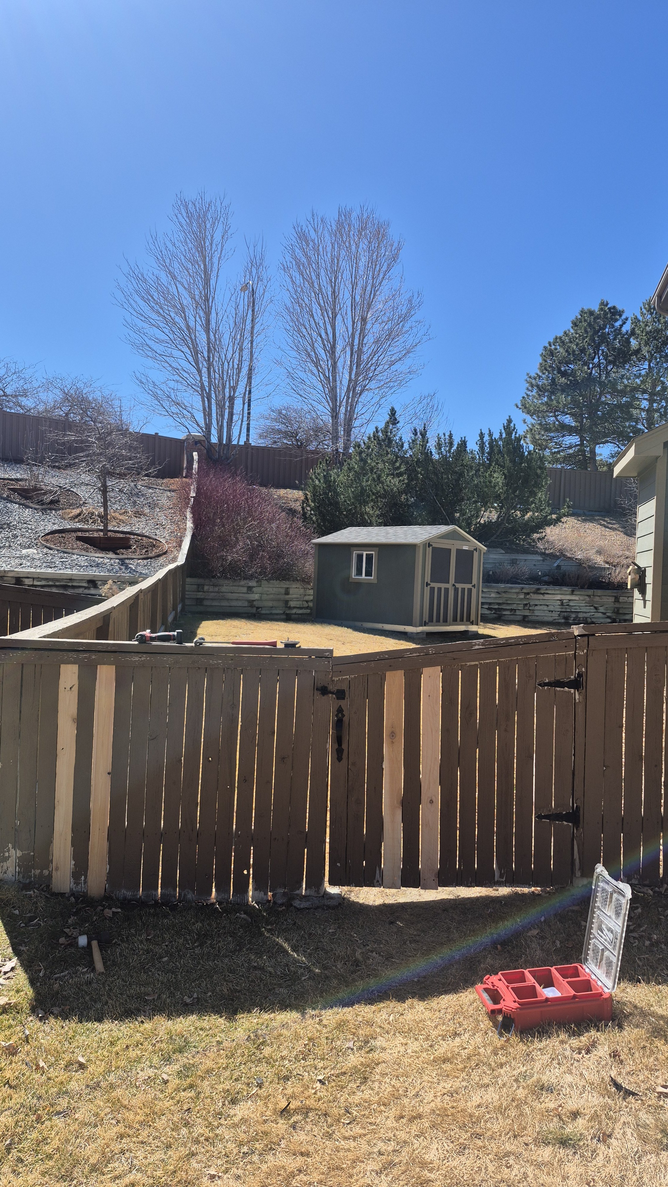 Backyard with brown wooden fence, small shed, and some garden tools on the ground. Bare trees and a clear blue sky; Green Mountain, Denver, Colorado
