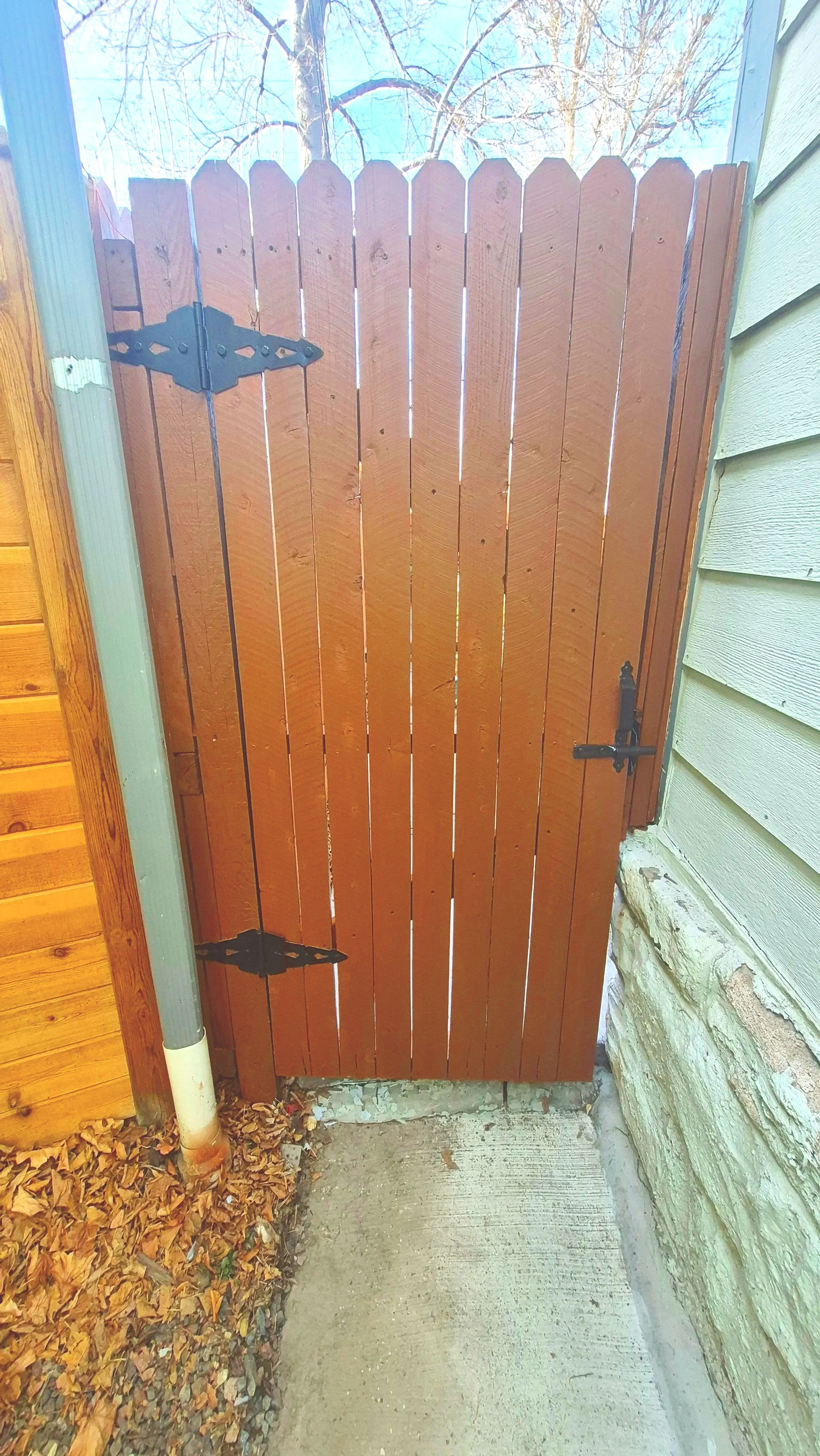 Fence and Deck Staining 