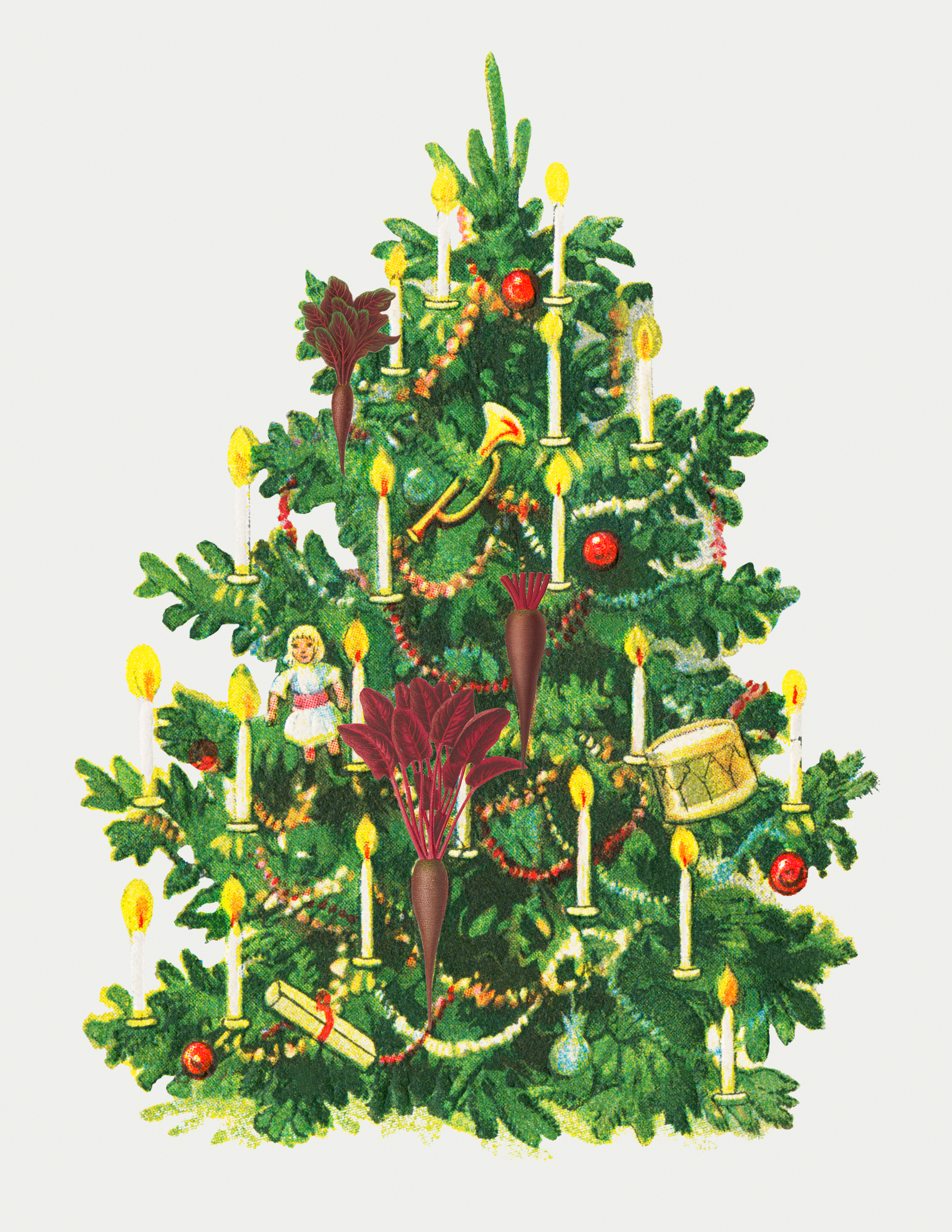 23 beetroot christmas.png