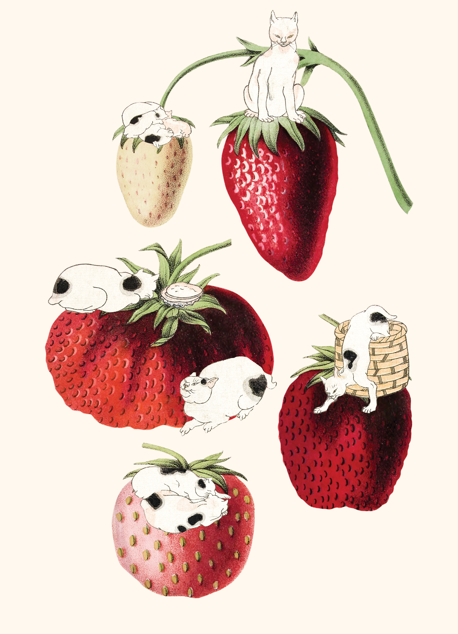 5x7 POSTCARD april -Recovered.png