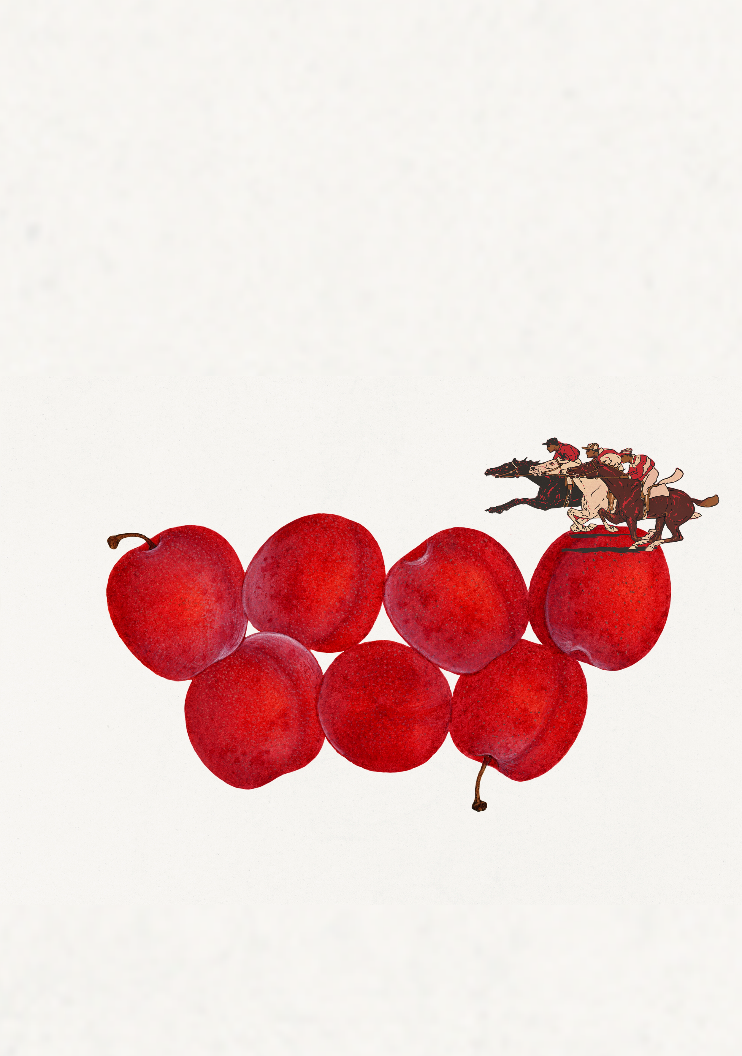 18 racers on plumssss.png