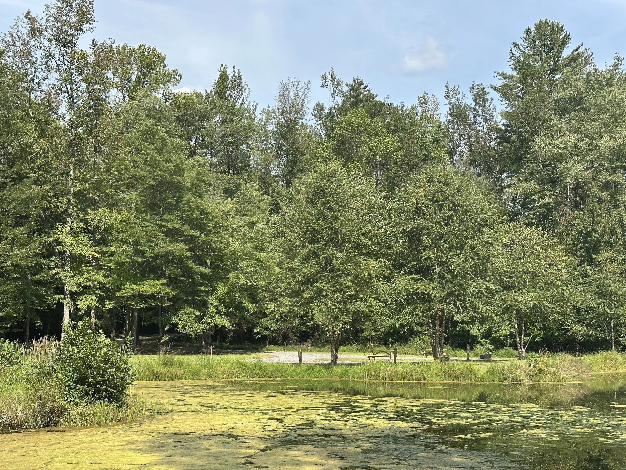 An RV rental area in Oliver Springs, Tennessee. Complete with a pond with green lily pads, surrounded by tall green trees under a partly cloudy sky.
