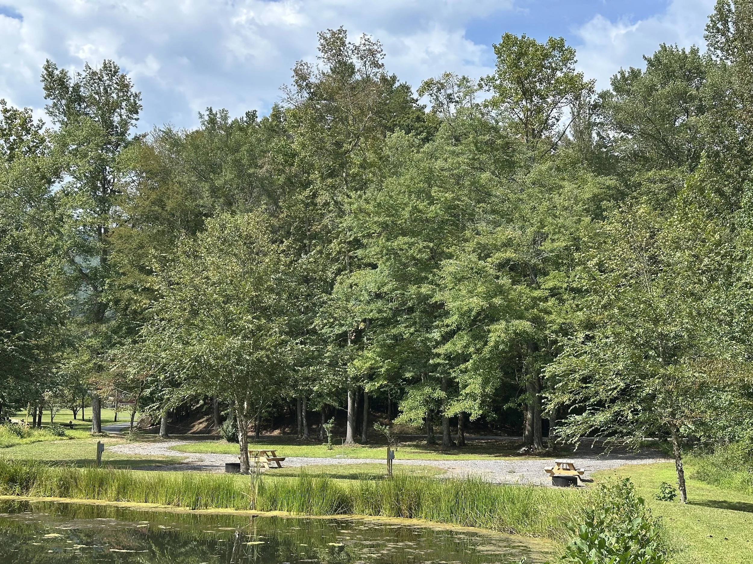An RV rental spot near Windrock Offroad Park. Close to a small pond in the foreground, green grass and trees surrounding the area, and a few picnic tables on a gravel pathway under a partly cloudy sky.