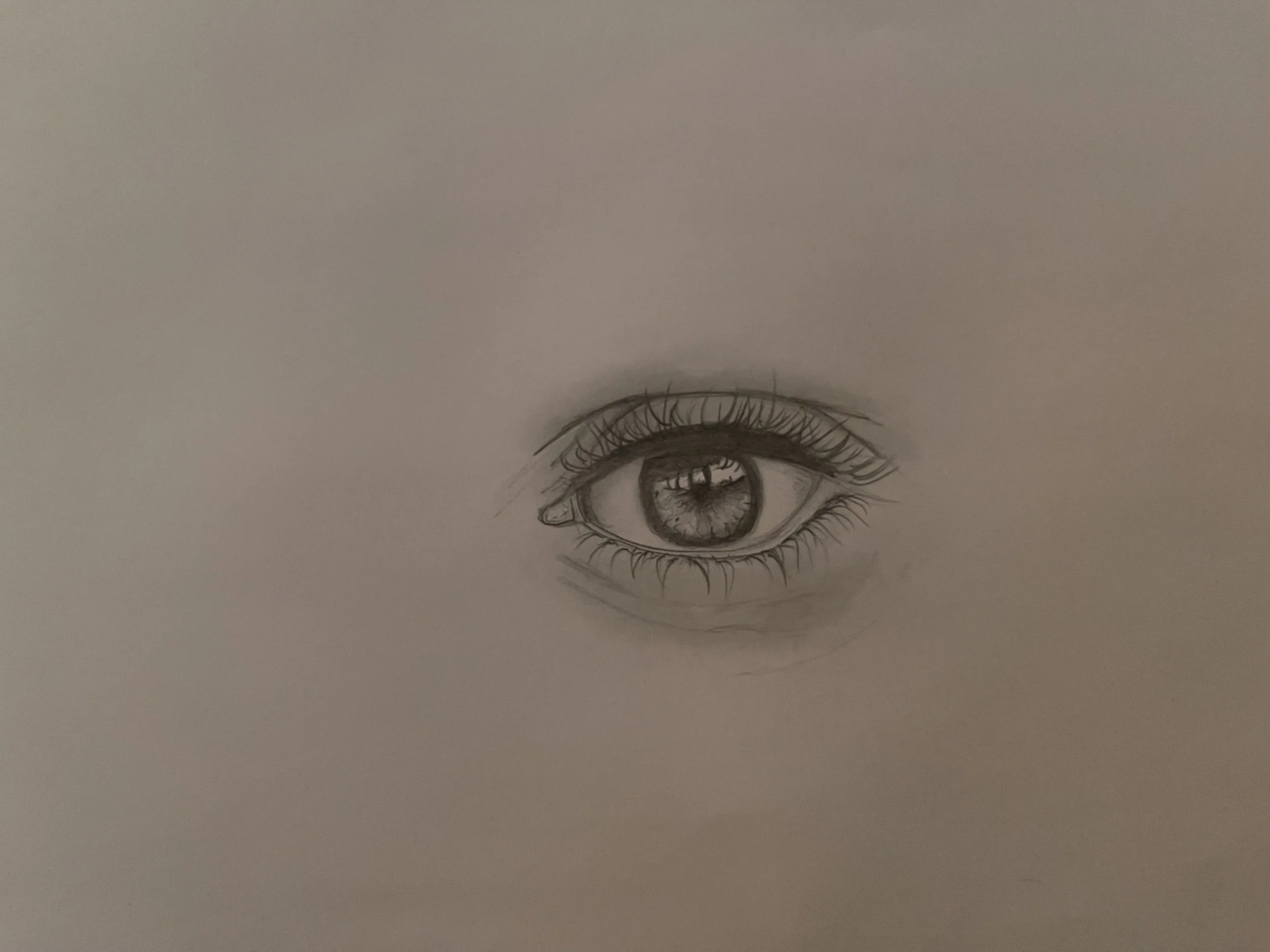 Graphite eye study focusing on structure, shading, and observational accuracy.
