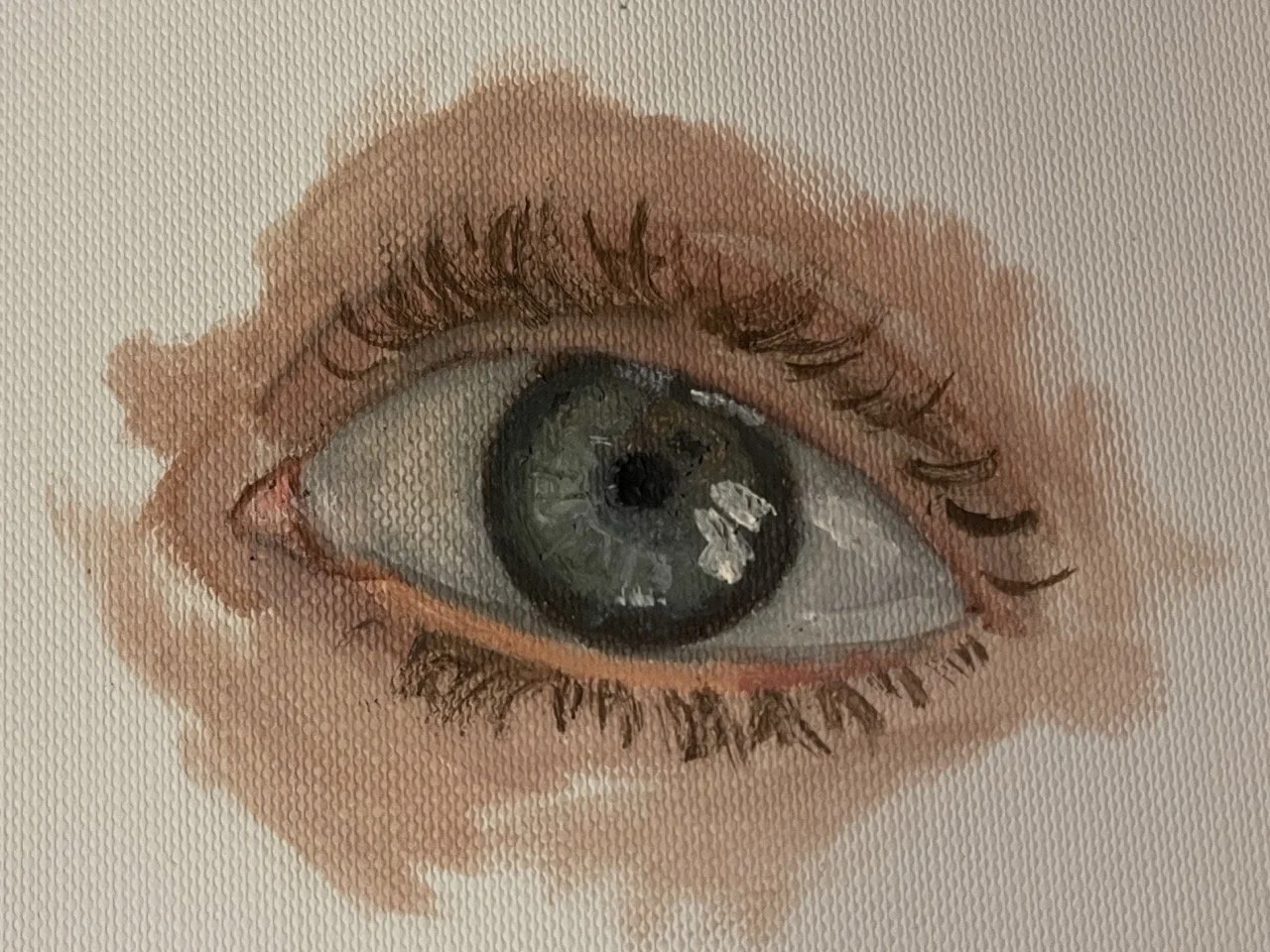 Close-up of a human eye with makeup, showing the eye's iris, eyelashes, and eyebrows.