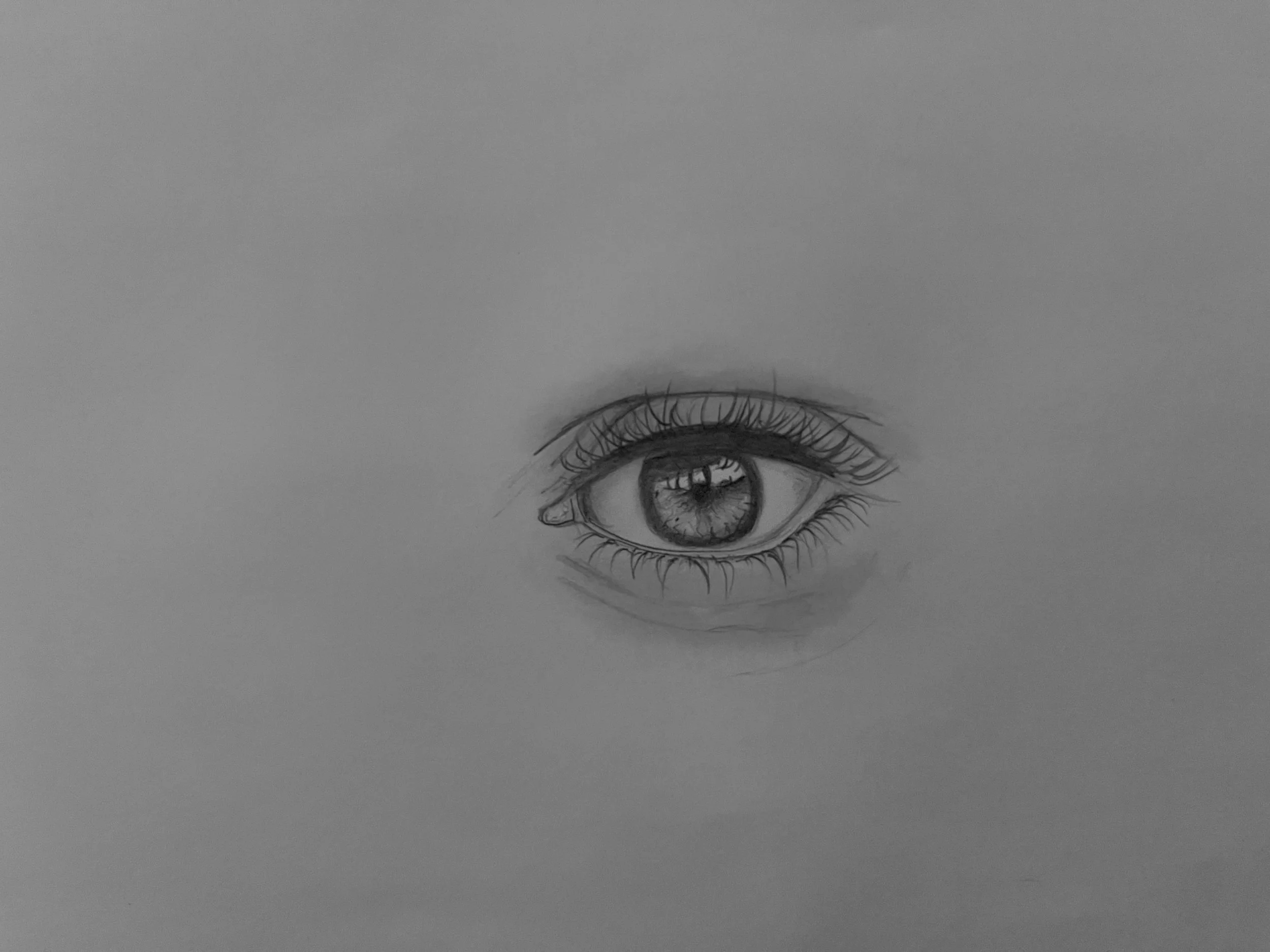 Graphite eye study focusing on structure, shading, and observational accuracy.