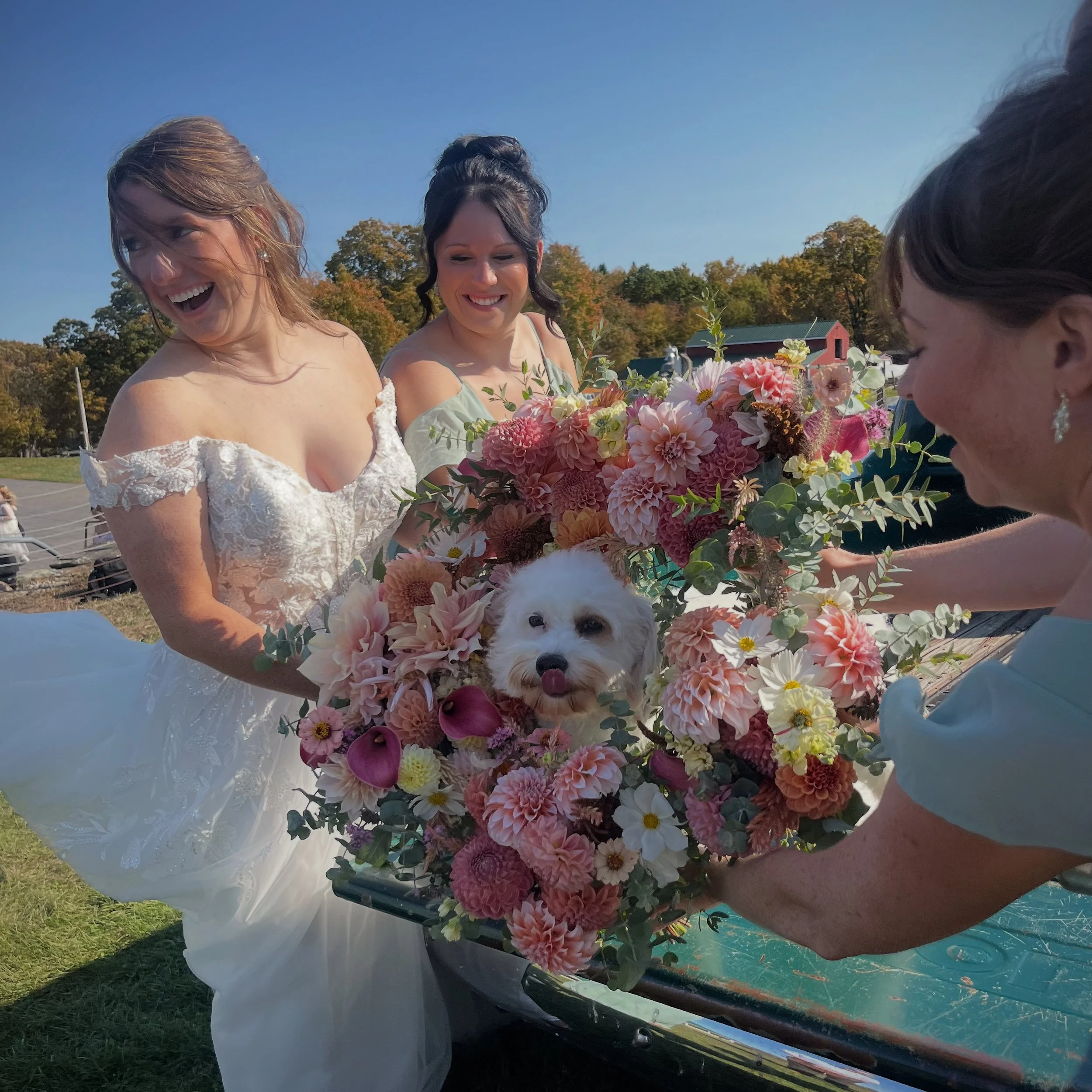 Bride in wedding dresses are smiling and gathered around a large floral arrangement with a small white dog inside, outdoors on a sunny day.