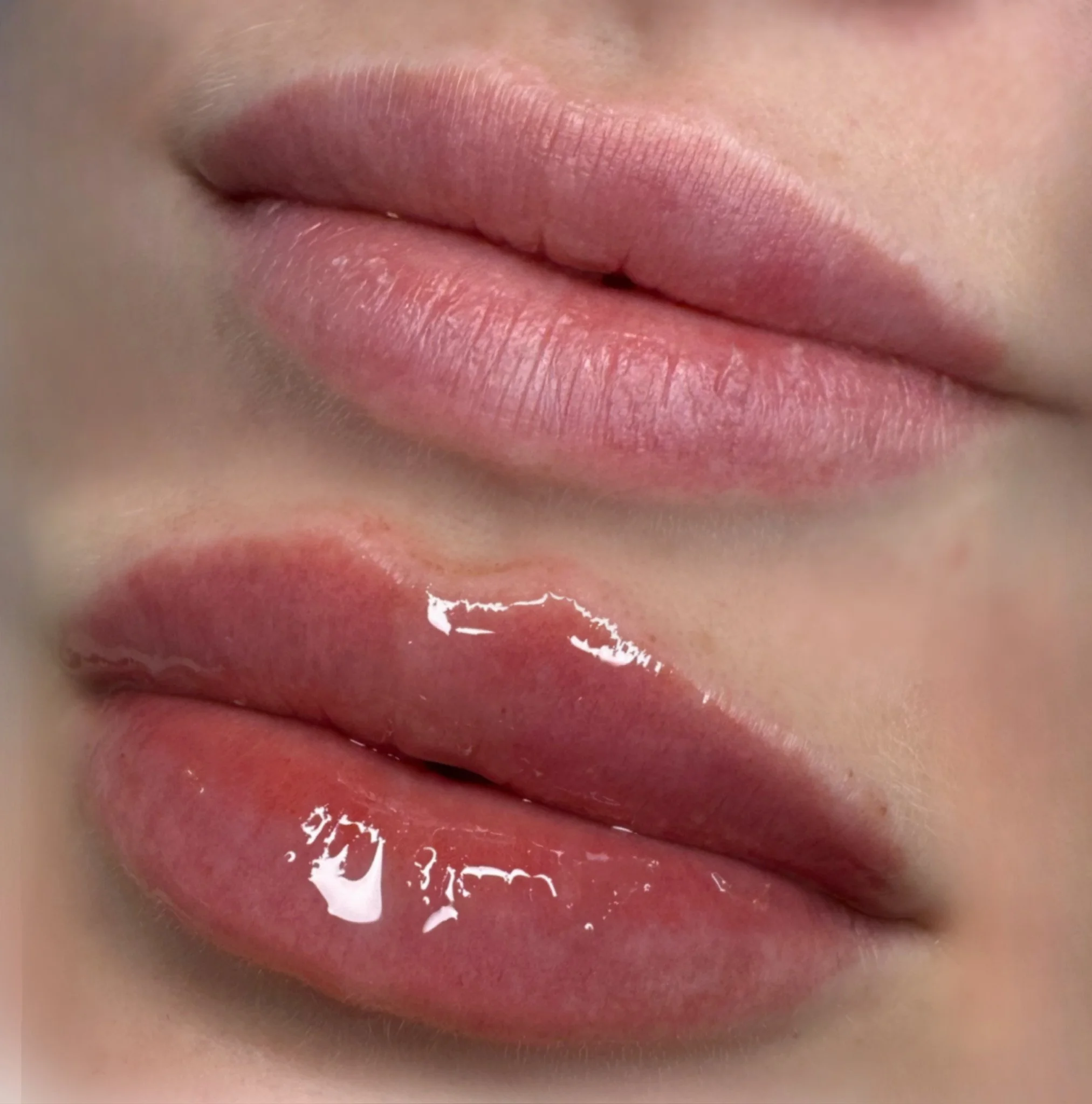 Close-up of lips, with the upper lip appearing matte and the lower lip glossy with detailed reflections.