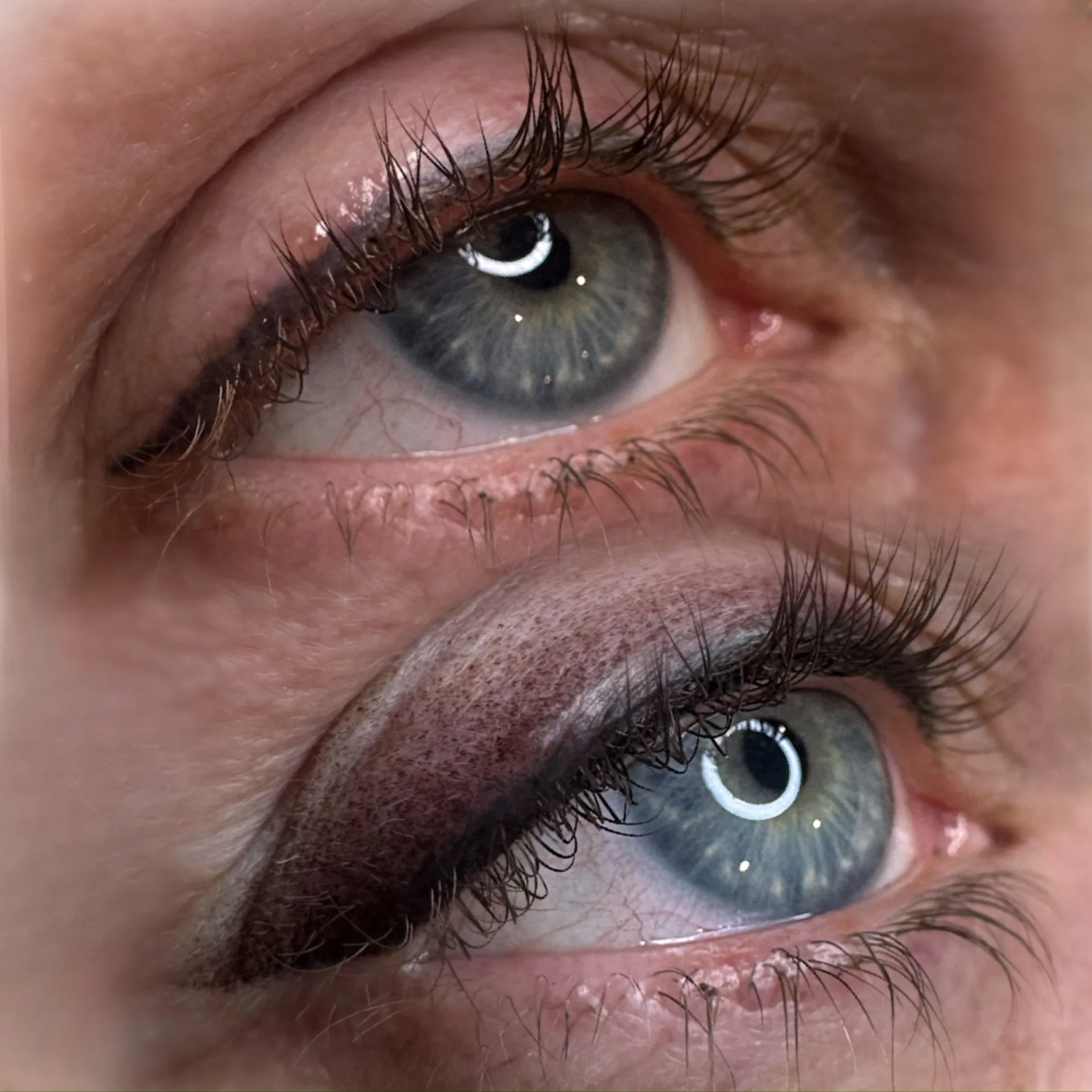Close-up of a person's blue eye with long eyelashes, showing the reflection of a ring light in the iris.