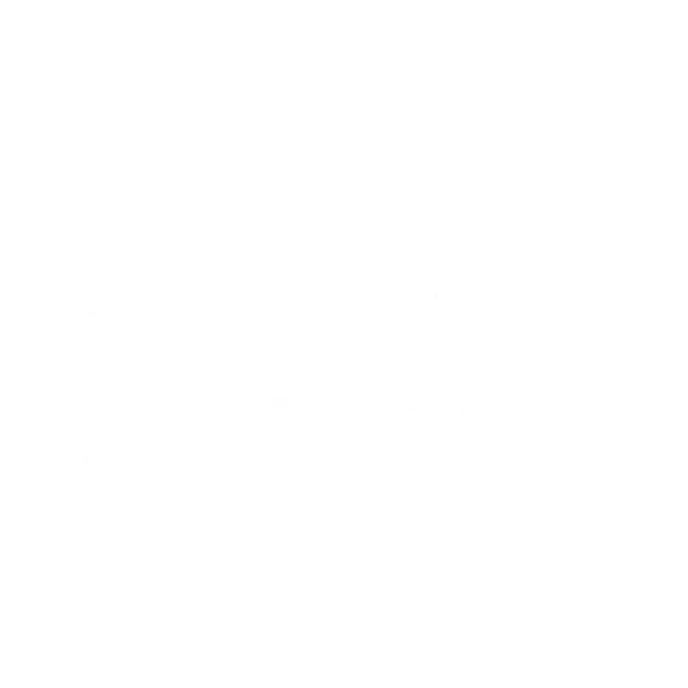 Logo for Beautiful Brows and Lashes Professional with a black background and white text.